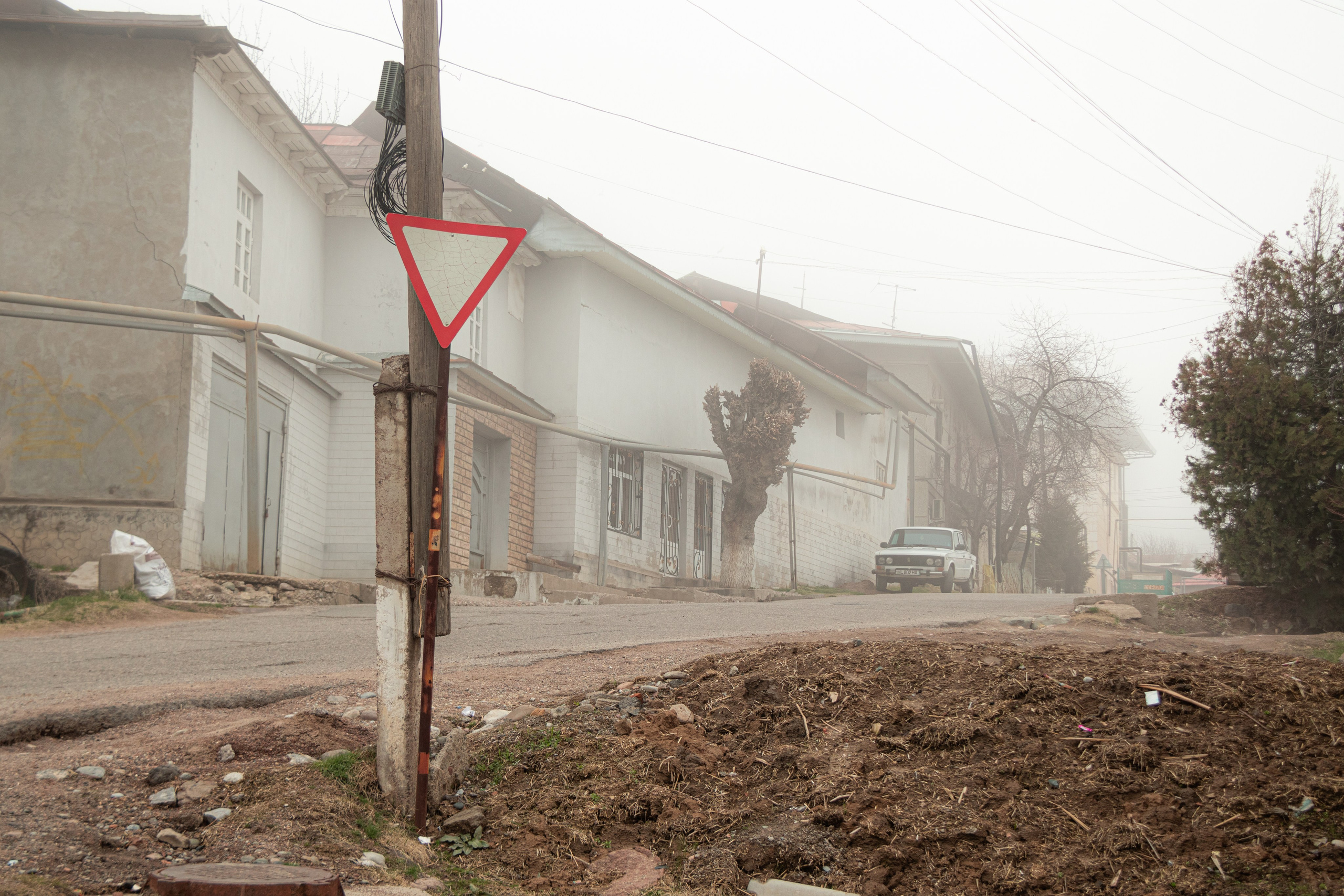 Shots. Janie valde |photographer & visual artist