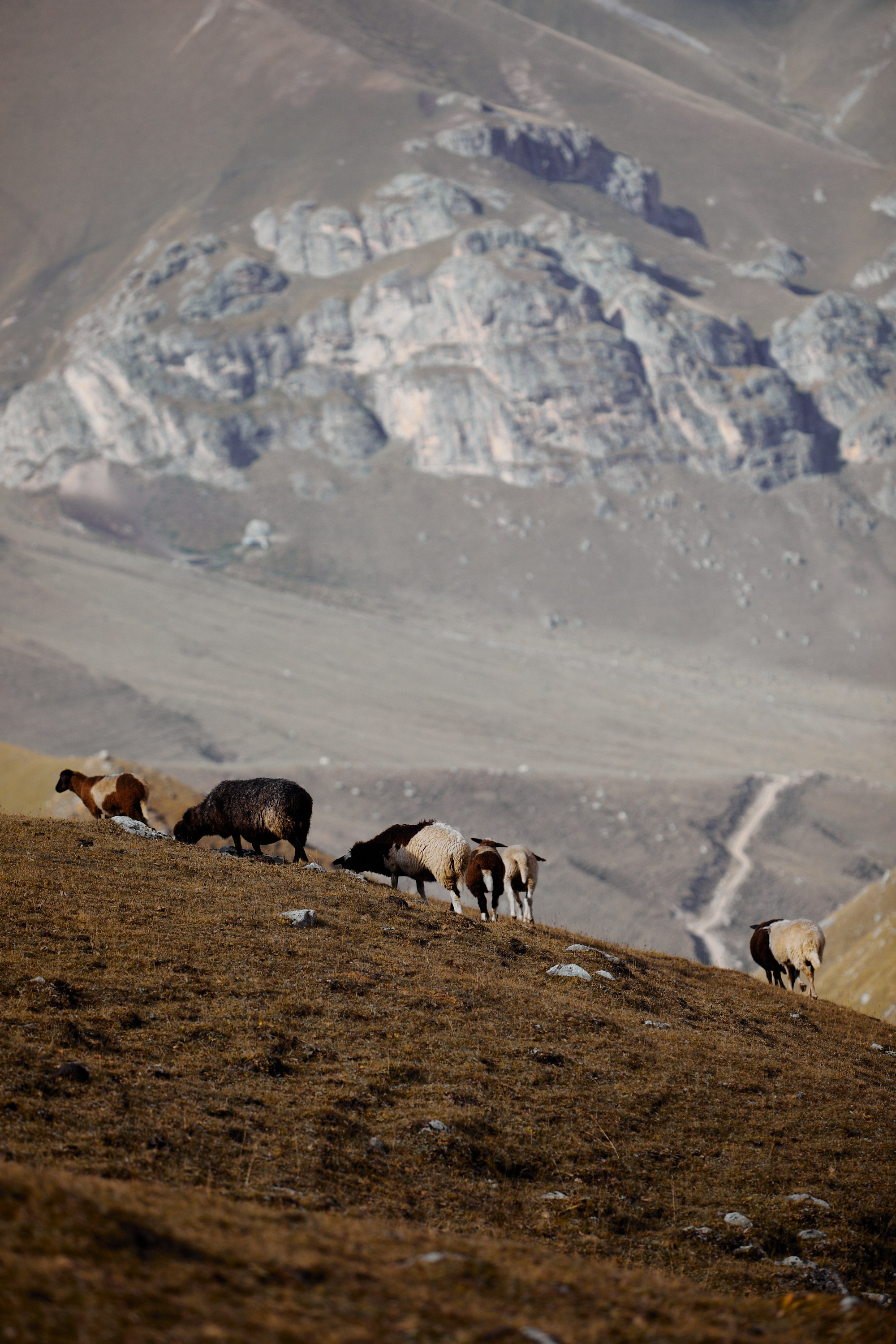 Озеро Гийбашкель. Фотограф Продюсер в горах КБР / Москва  Нальчик Горы