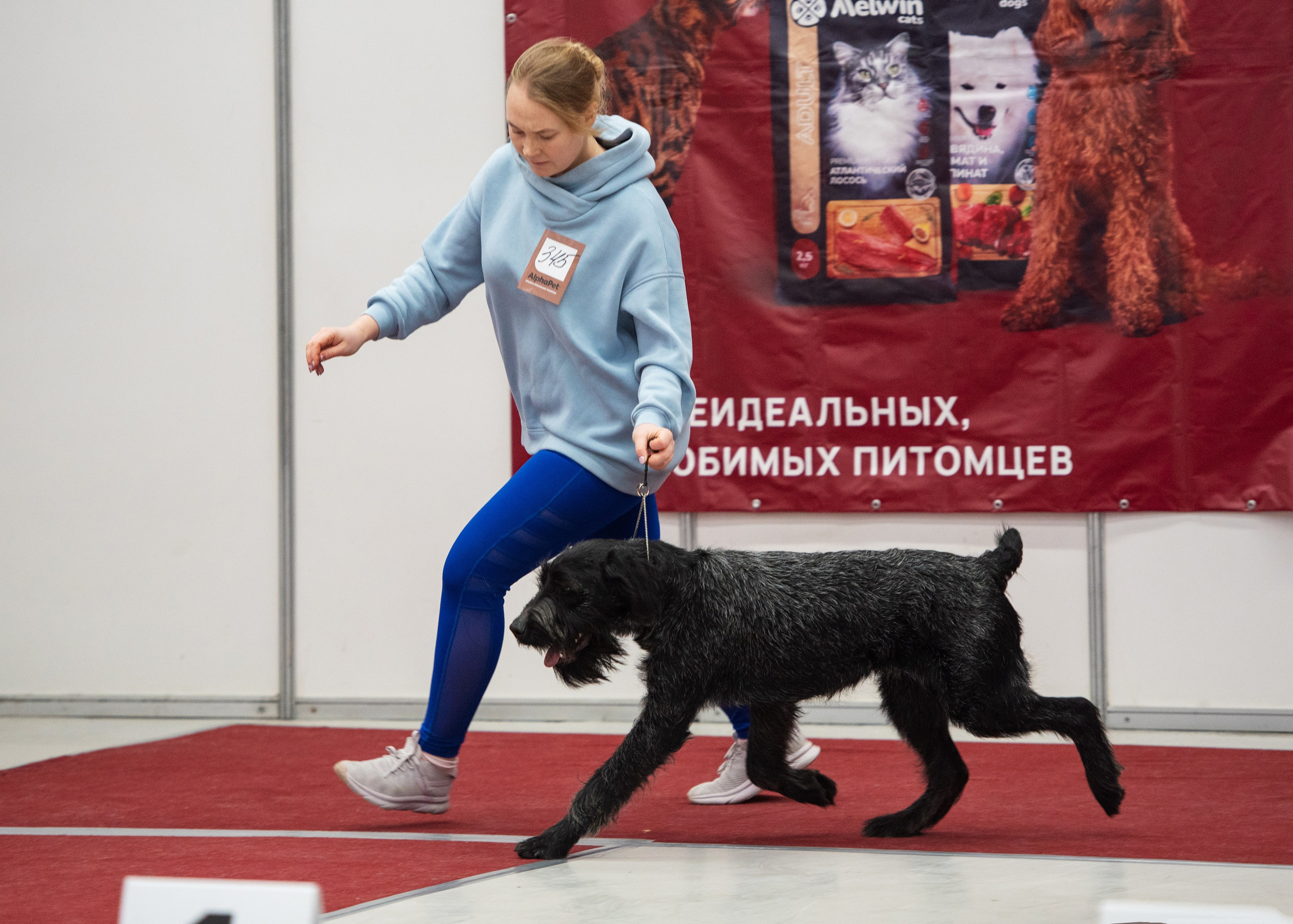 Выставки. Главная