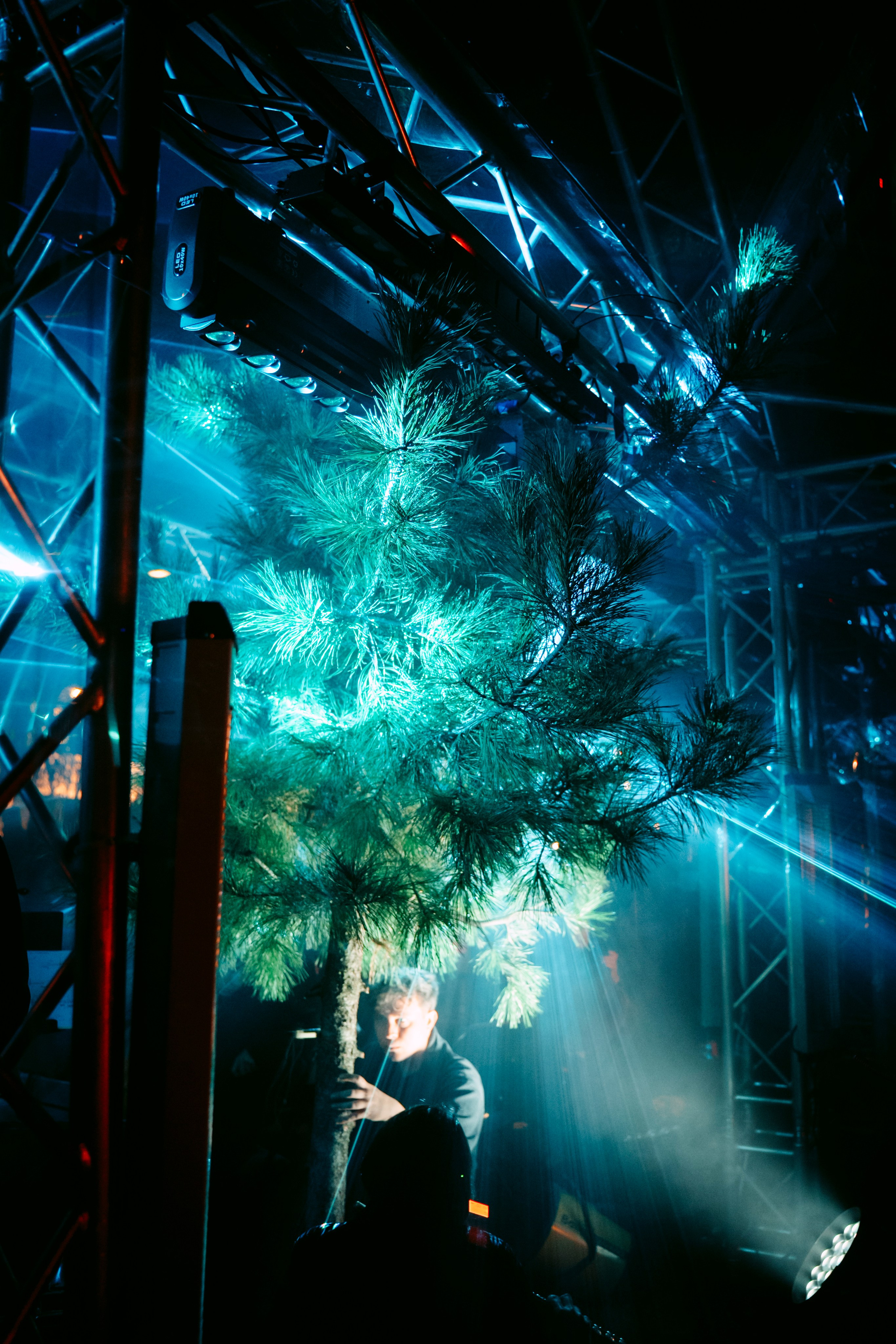 Synesthesia|Черное озеро. Главная