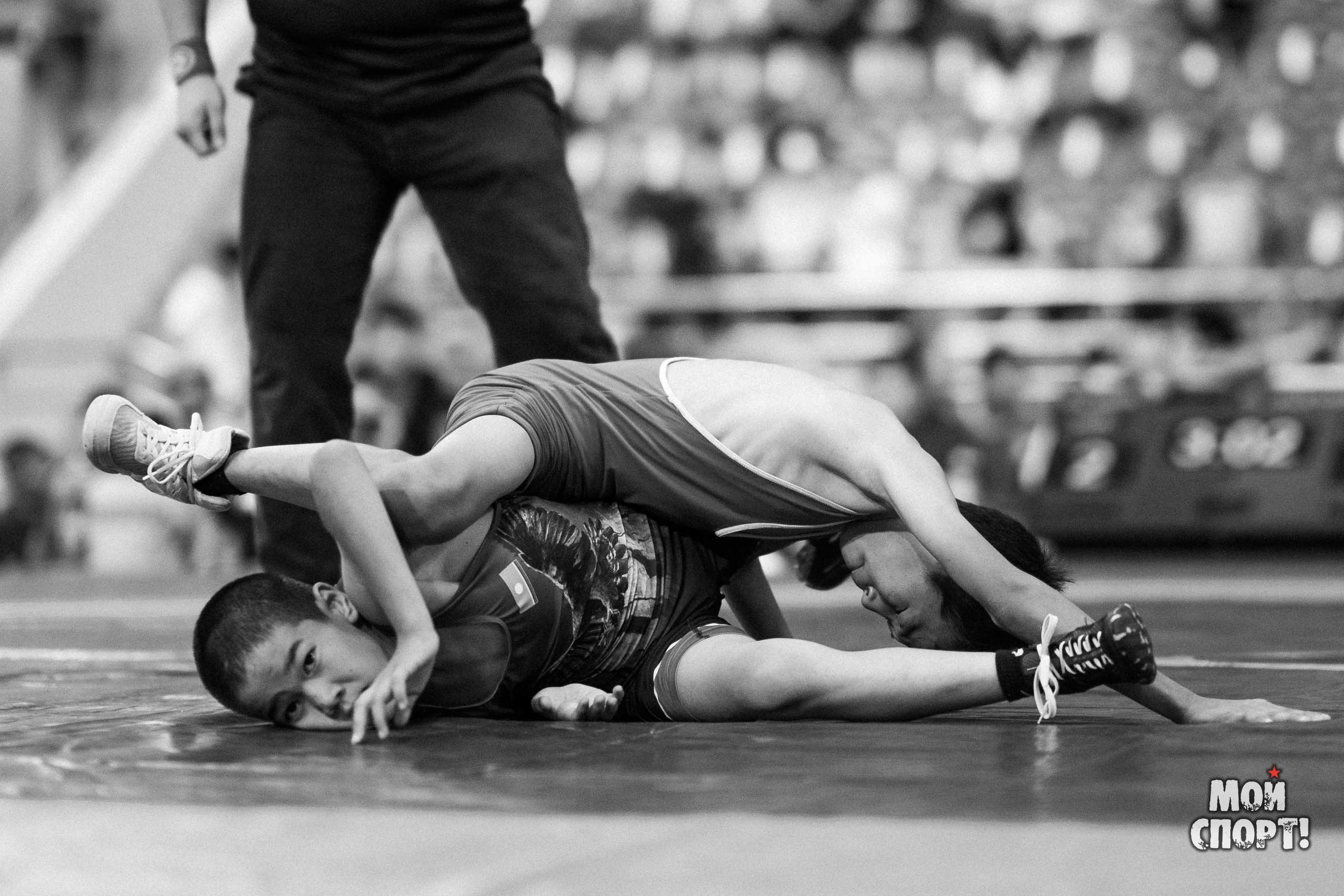 Соревнования по вольной борьбе в честь П. П. Пинигина. Студия «Мой Спорт!» — все о спорте в Якутии