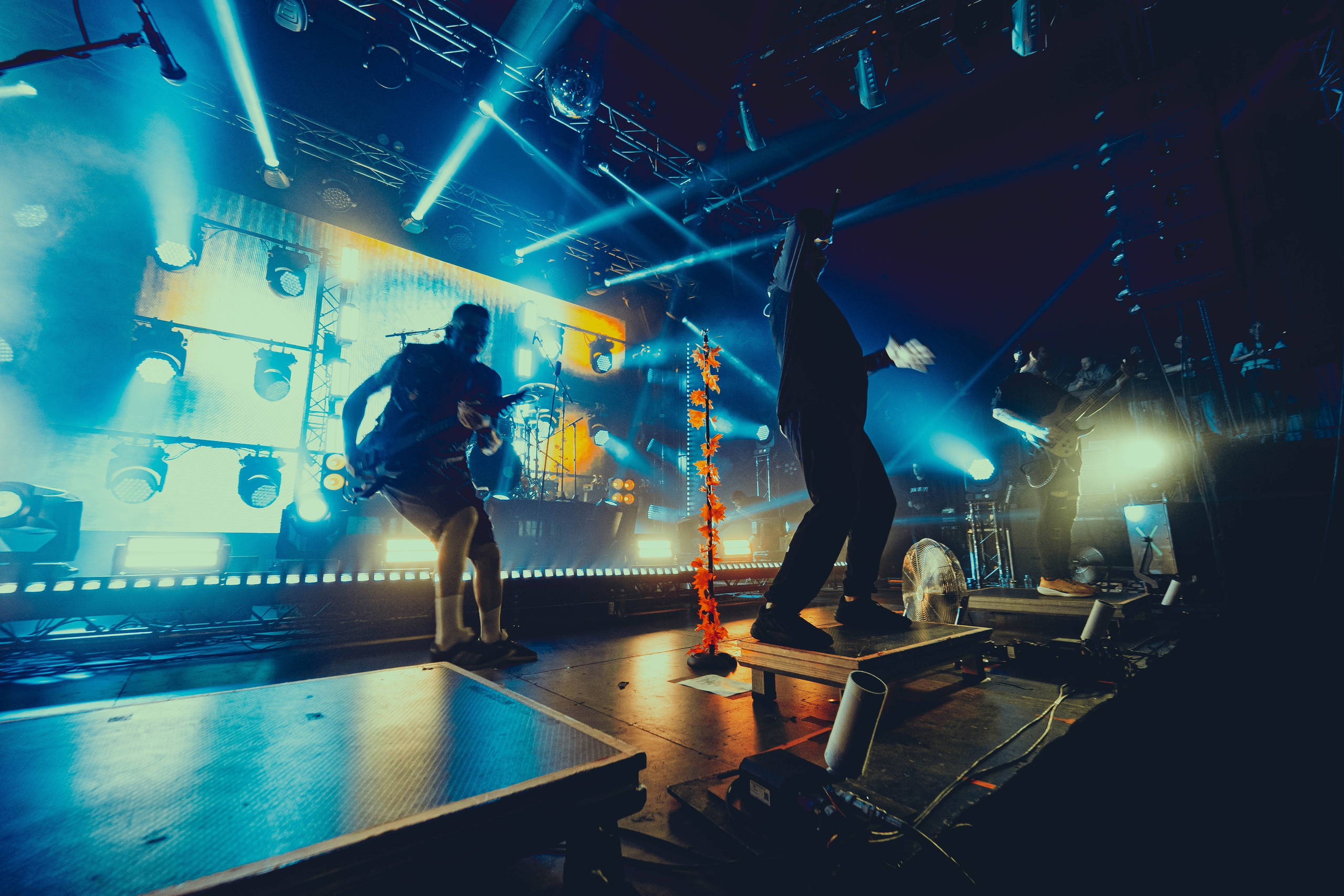 Stigmata 15.11.2025. Фотограф Дядя Сник