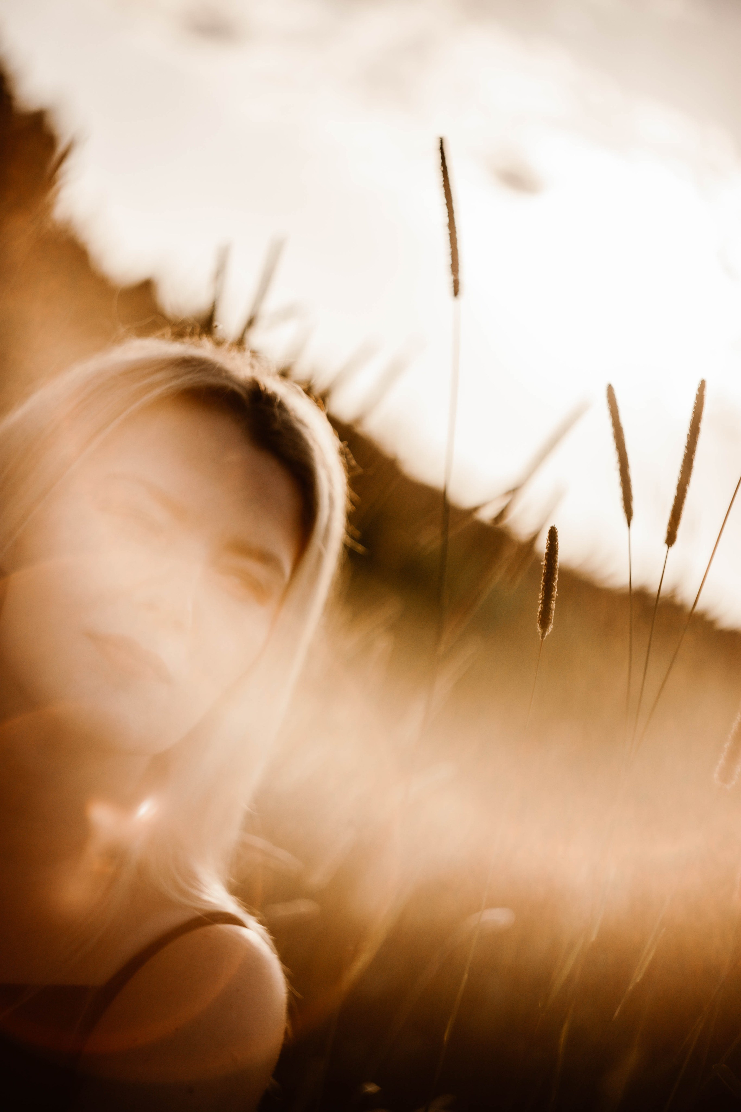 Ирина. Закат. Поле. Фотограф в Нижнем Новгороде