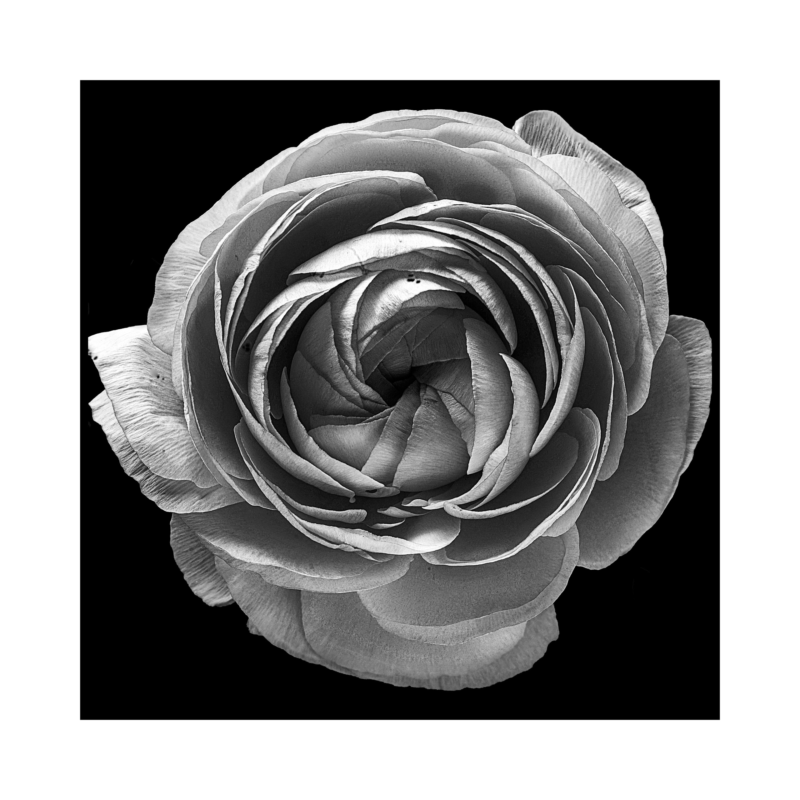 Фотопроект «Круги жизни». Портретный фотограф в Челябинске Катерина Руди