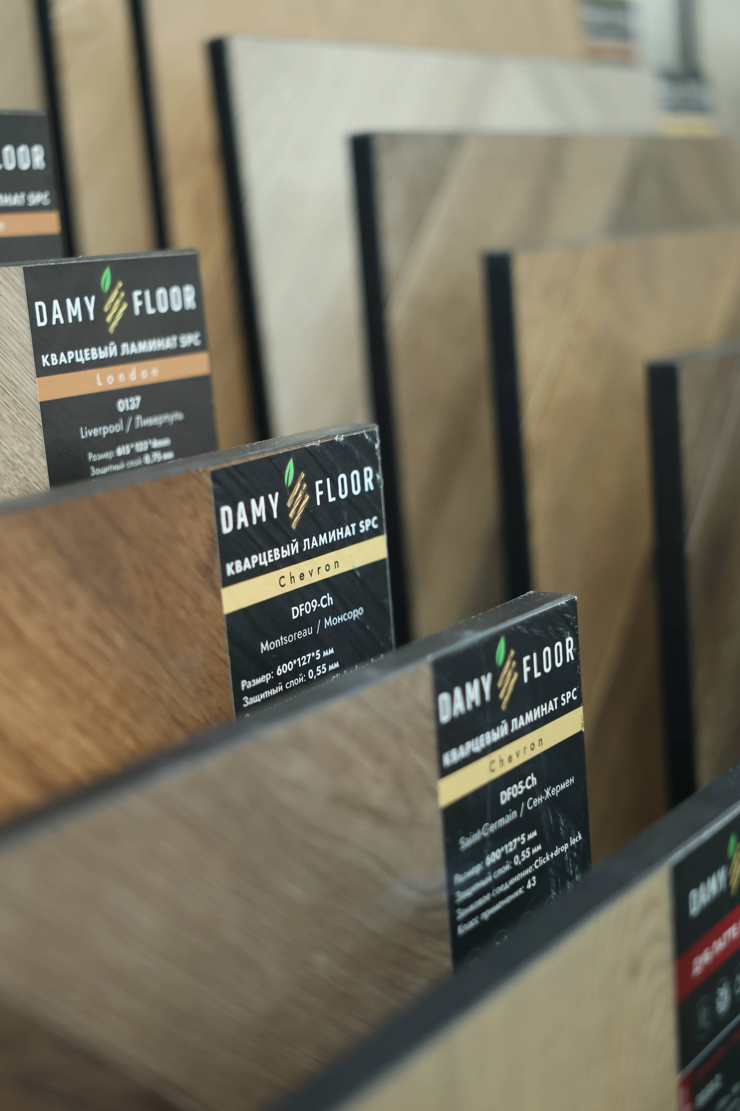 Damy Floor
