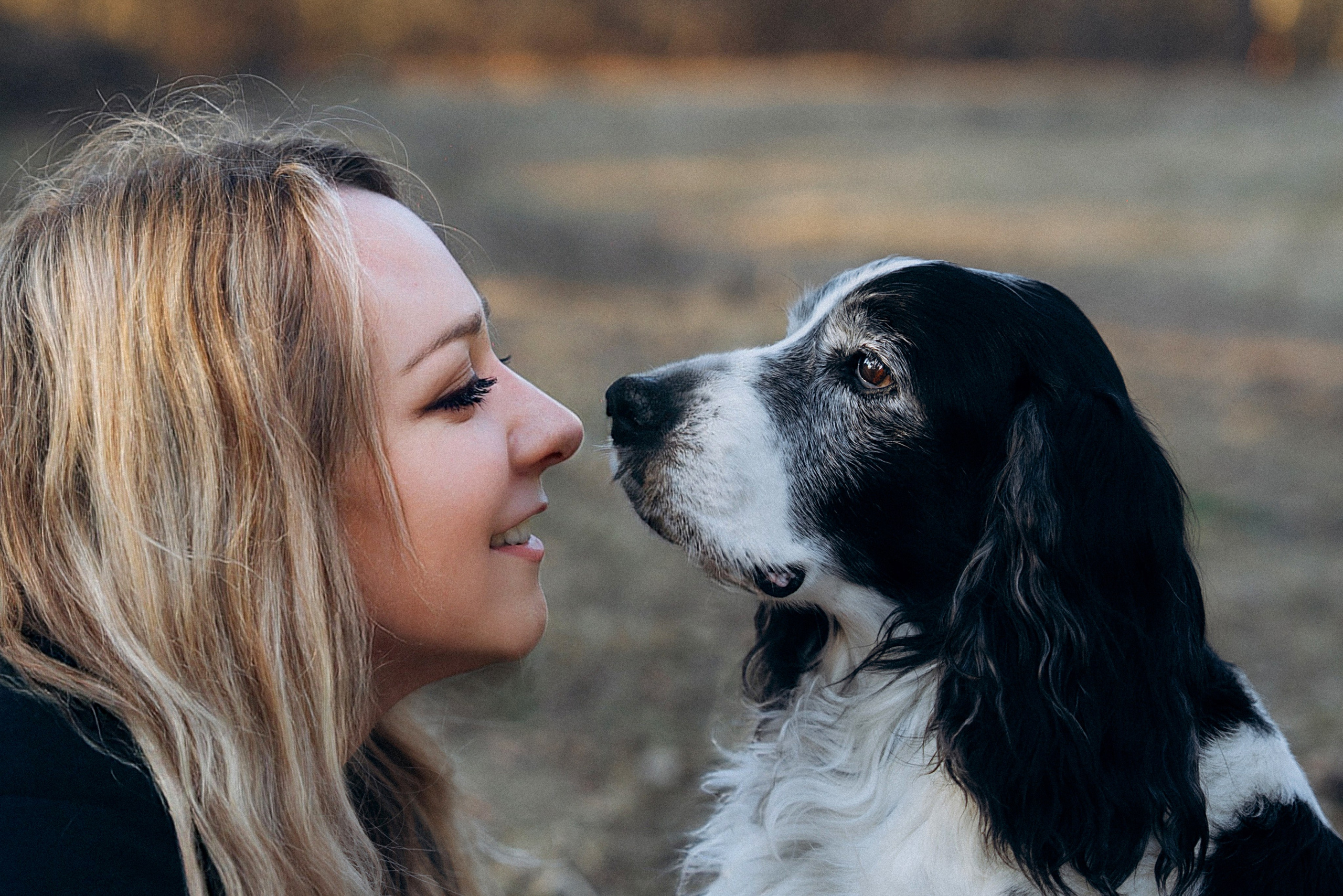 Хвостики. Главная