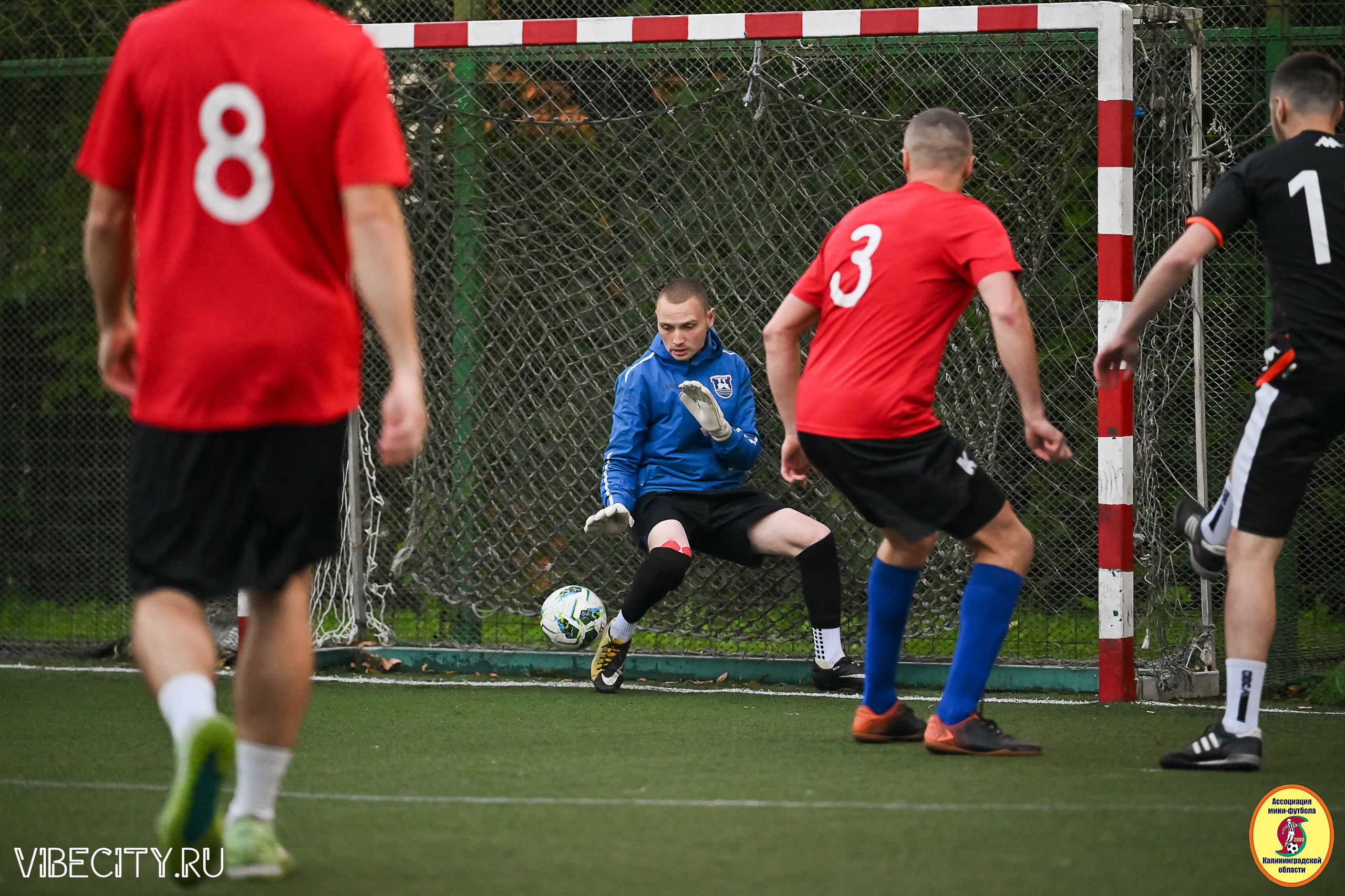 ИГРЫ ПЛЕЙ-ОФФ ПЕРВОГО ДИВИЗИОНА МИНИ-ФУТБОЛЬНОЙ ЛИГИ. VIBECITY.RU Вайб Сити Ру Фоторепортажи Фотоотчеты Калининград