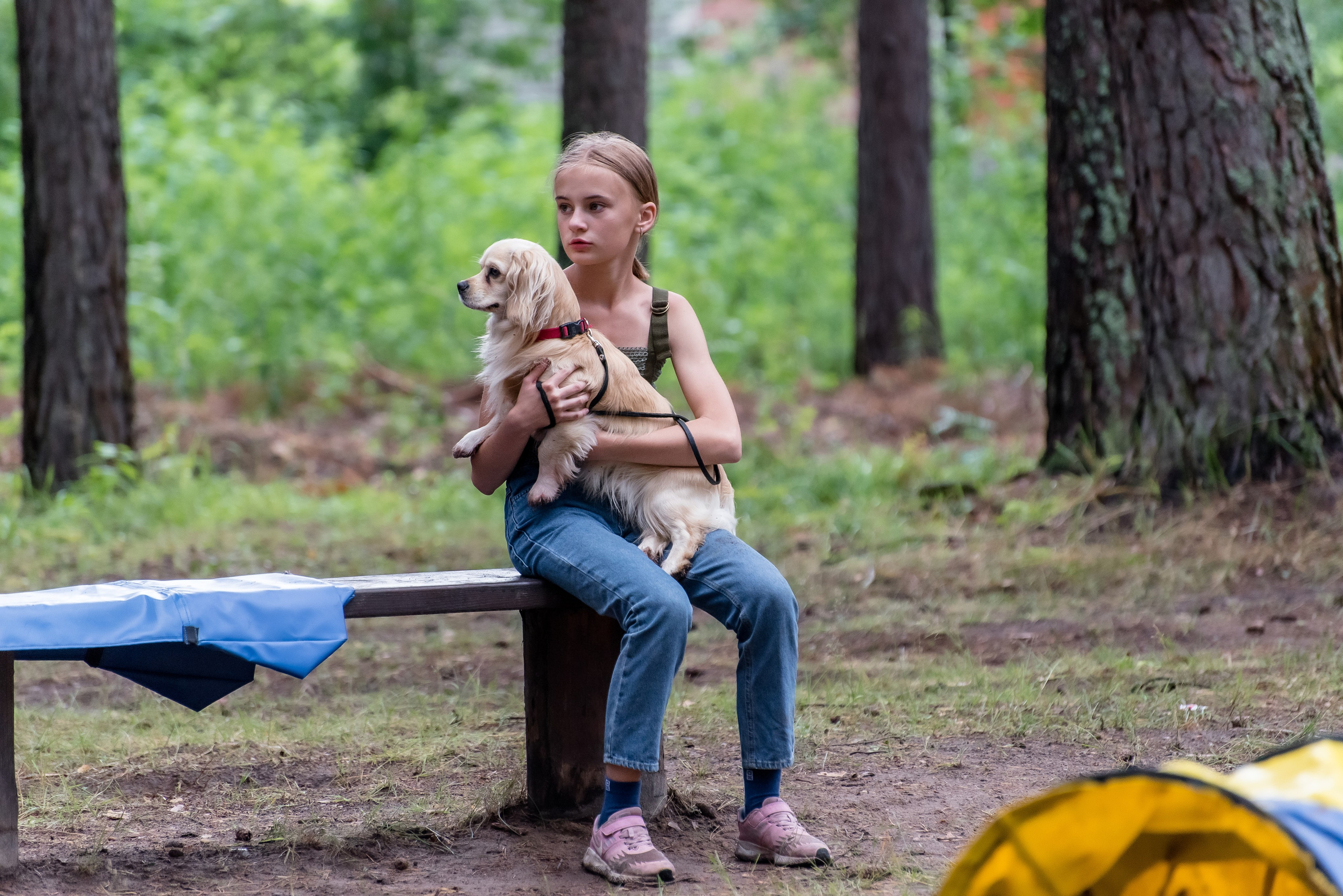 Хвостатые каникулы Детский кинологический лагерь. Фотограф Макс Огурцов в Нижнем Новгороде