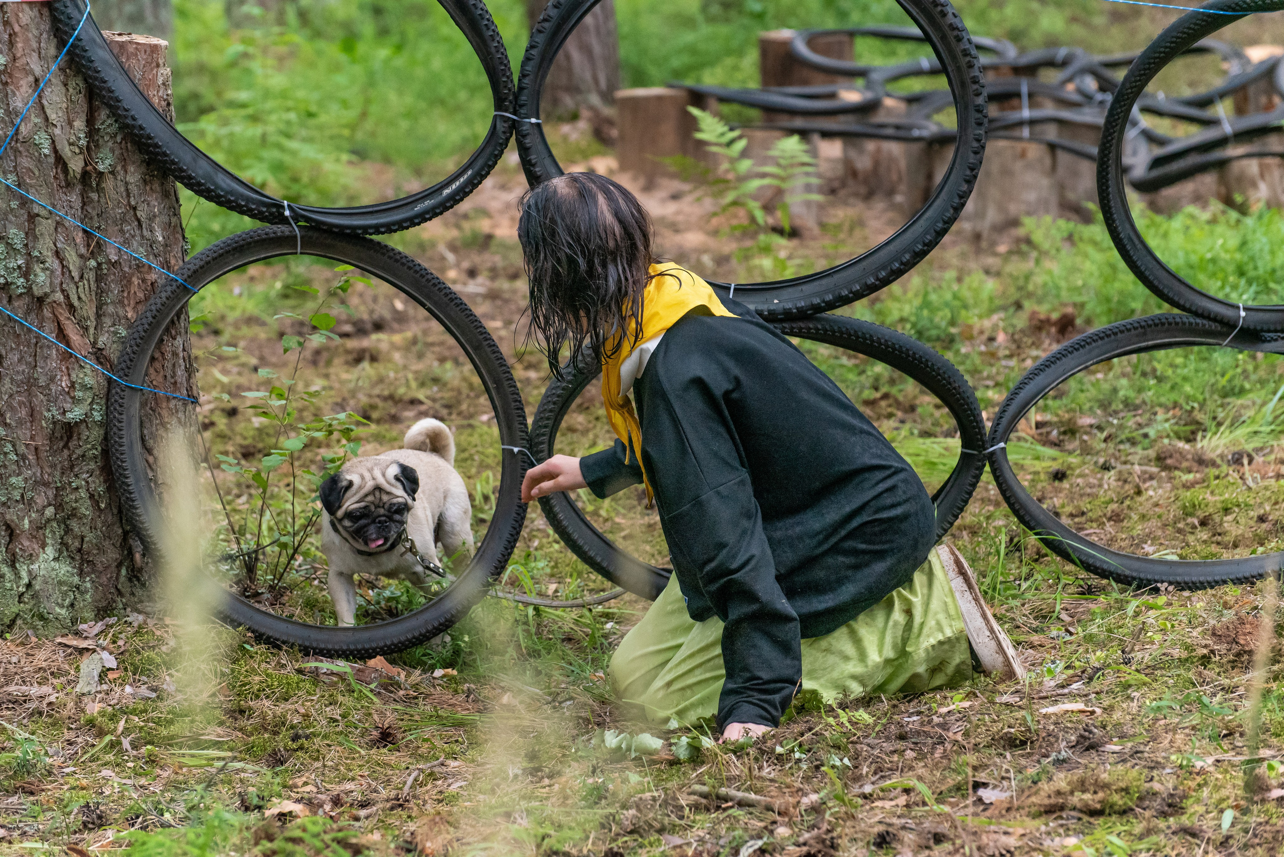 Хвостатые каникулы Детский кинологический лагерь. Фотограф Макс Огурцов в Нижнем Новгороде