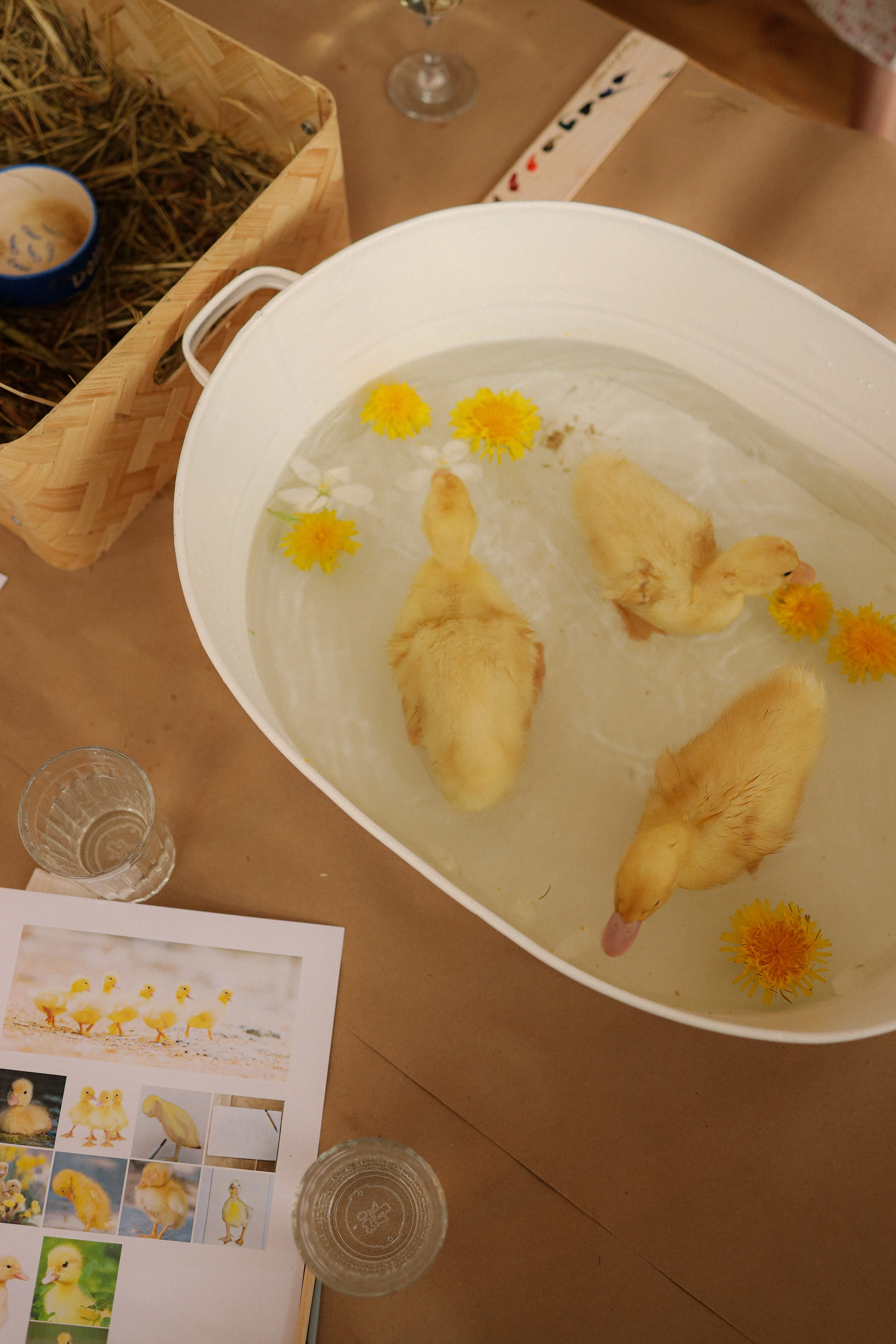 Мк Акварель (рисуем с натуры). Анастасия Ракчеева Художник