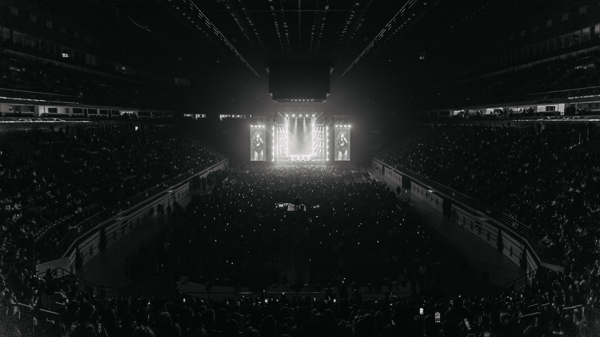 ZIVERT. ГЛАВНАЯ