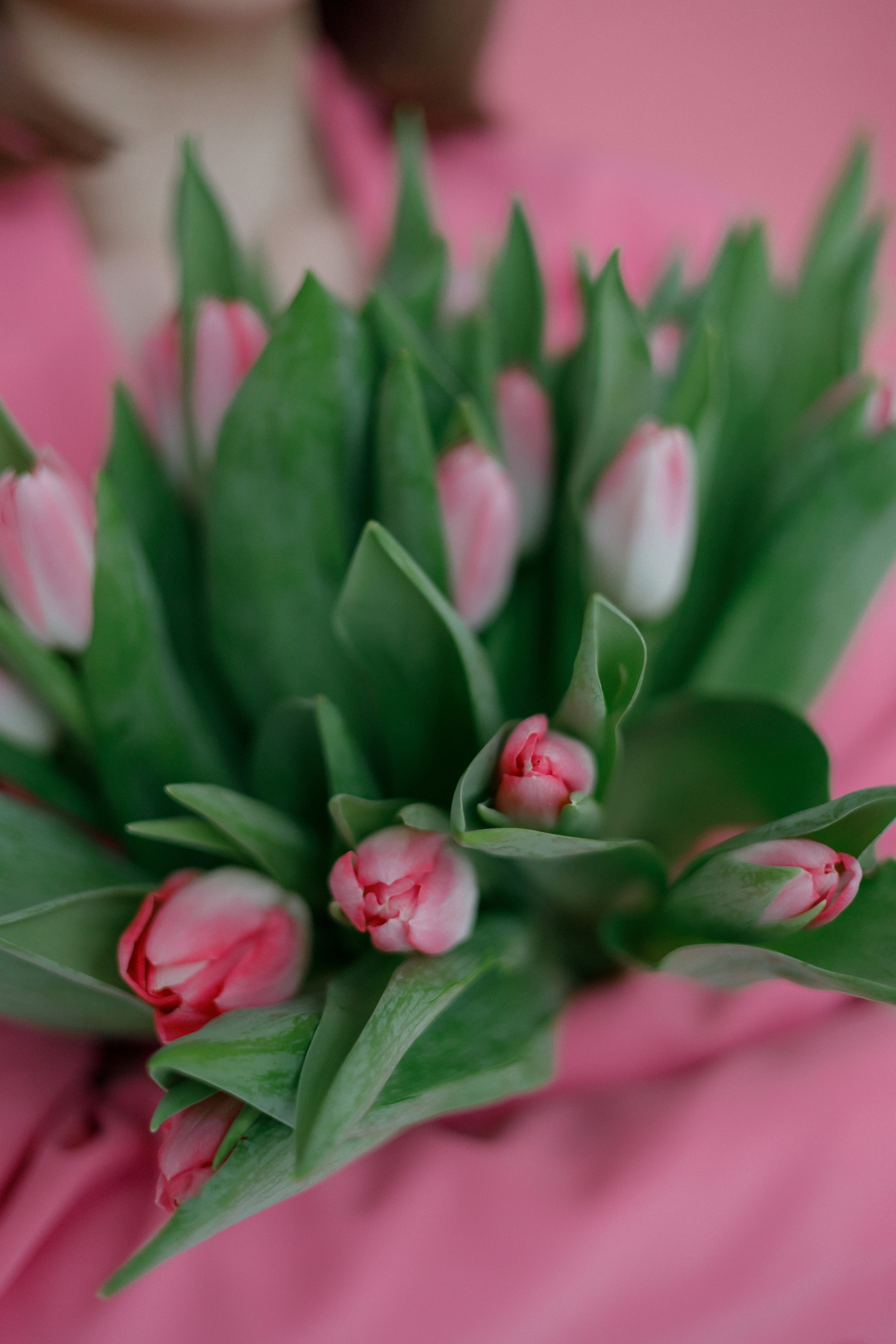 Контент-съёмка для салона цветов. Розовый зал. Фотограф Марина Юдина. Подольск, Москва