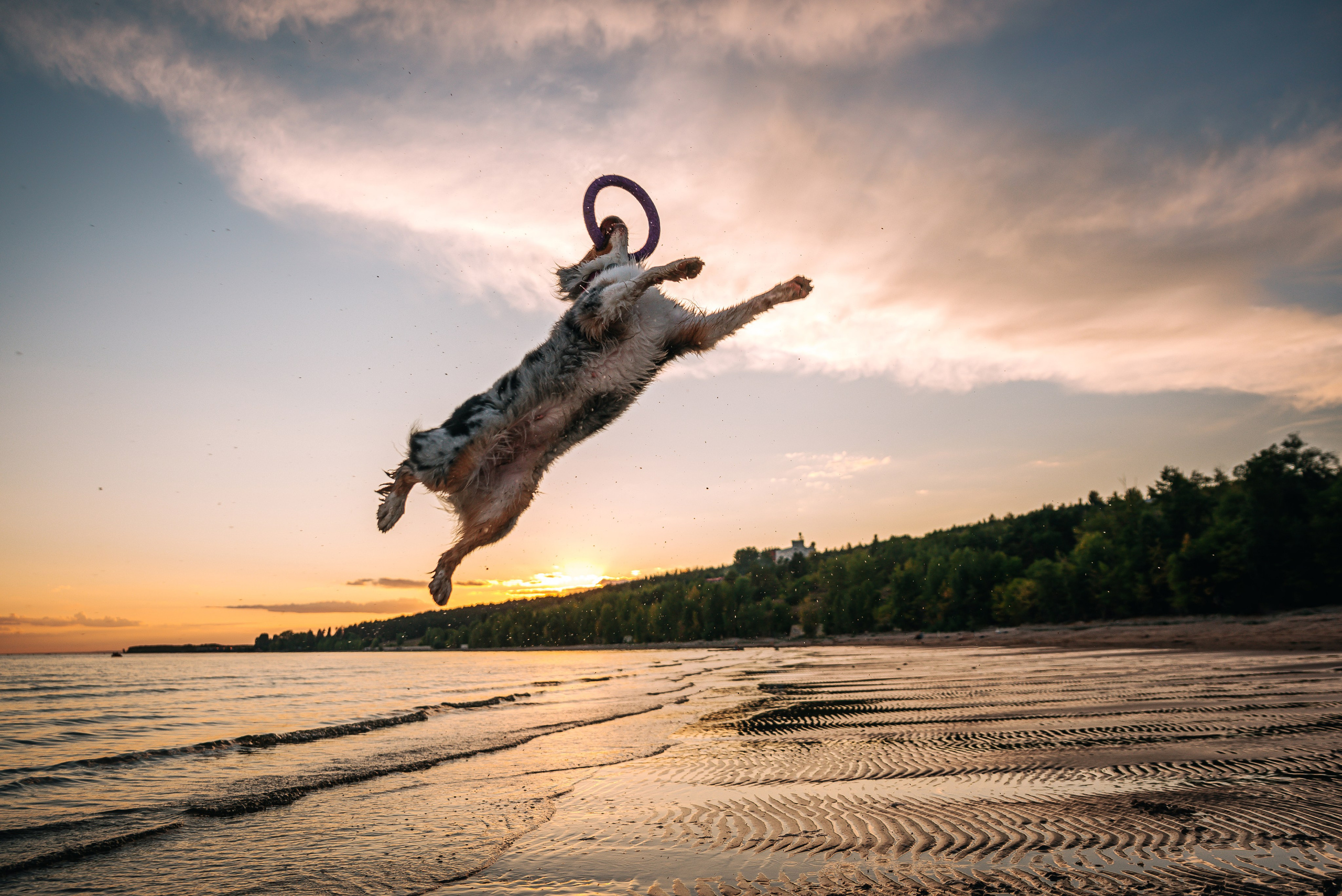 No Bad Days. Главная