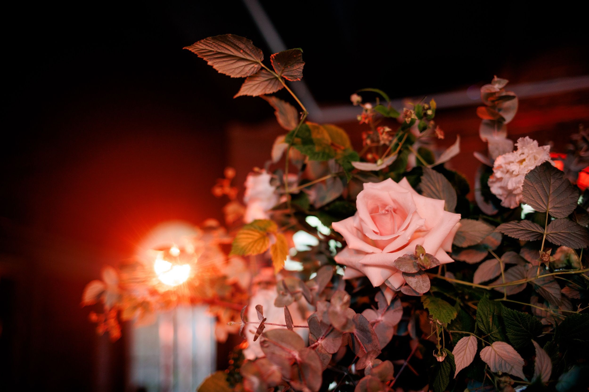 Прокатная компания DDrental. DDrental прокатная компания Нижний Новгород