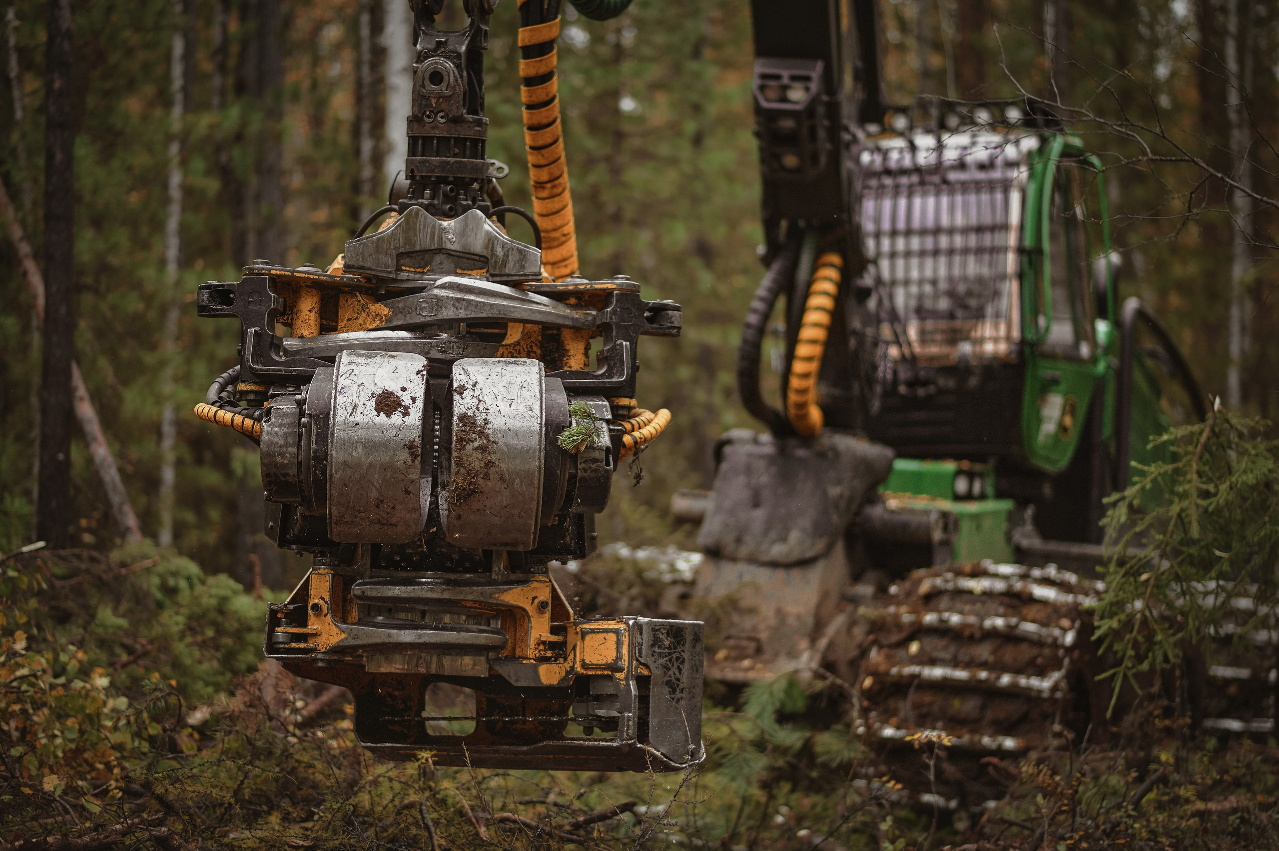 Лесозаготовка г. Мотыгино. Фотограф Яковлев Роман — Красноярск