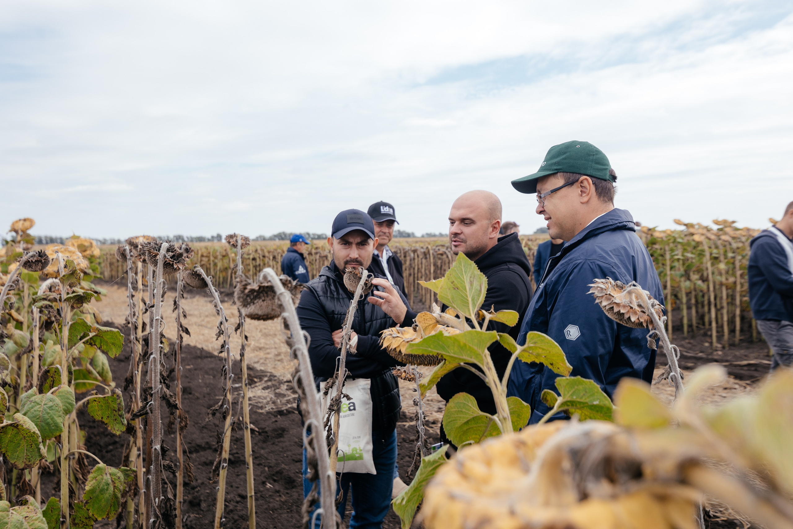 День поля. Фотограф Крохин Олег