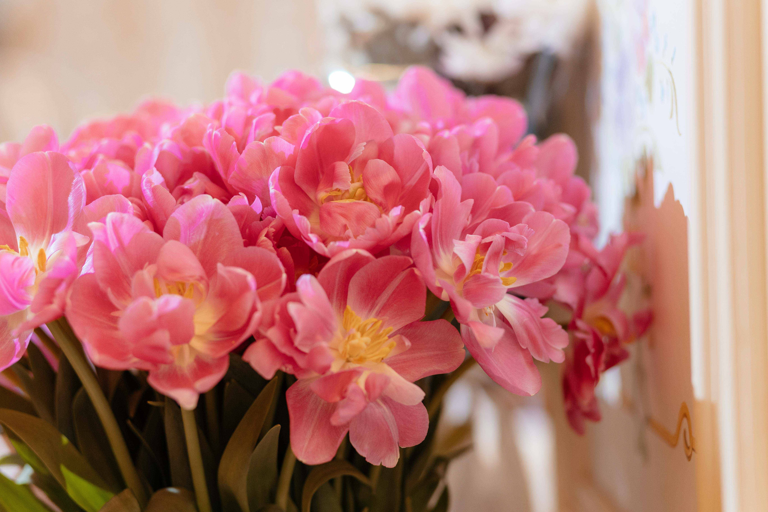 Юбилей 80. Фотограф Крохин Олег