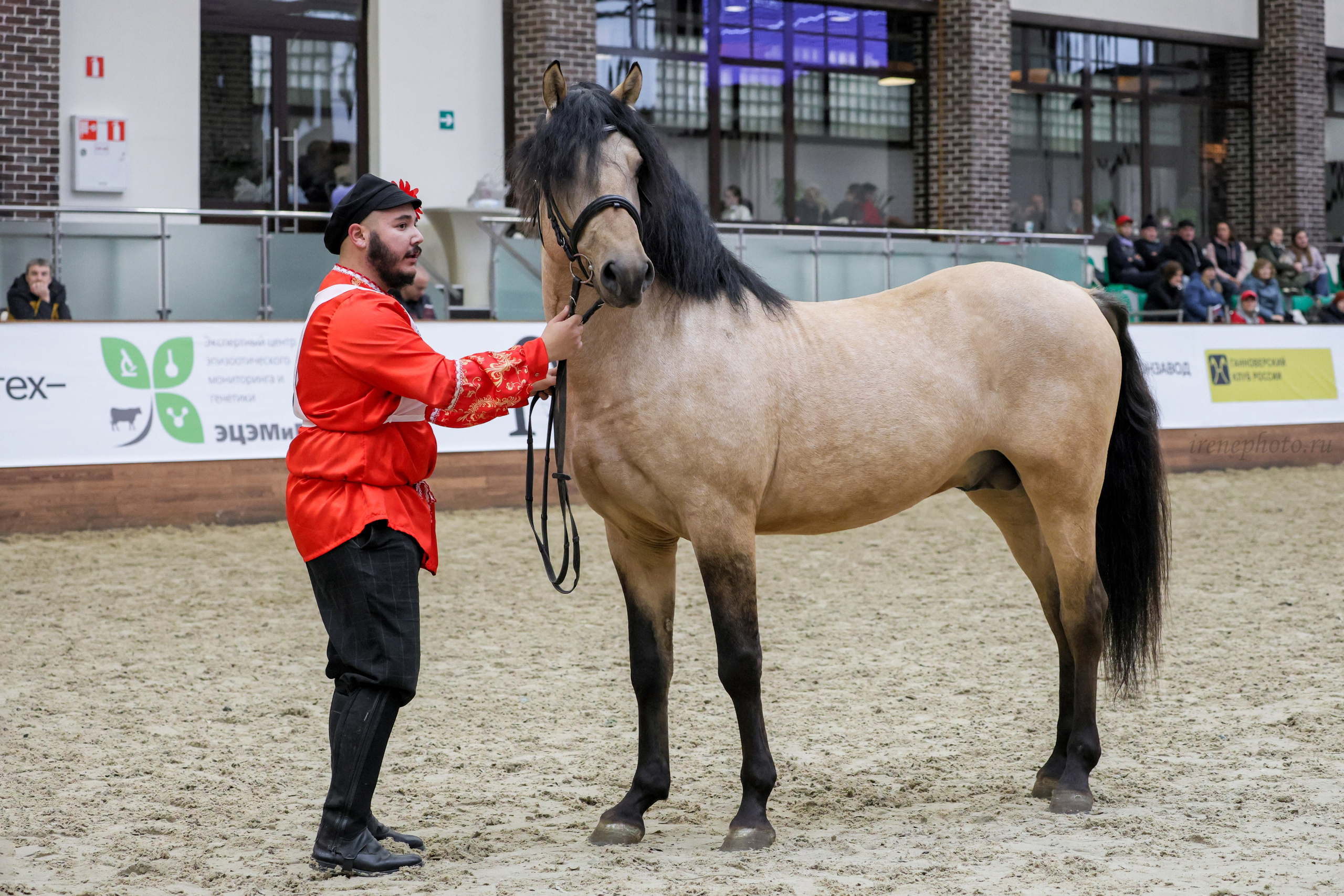 Конная Россия 2024. Irenephoto.ru