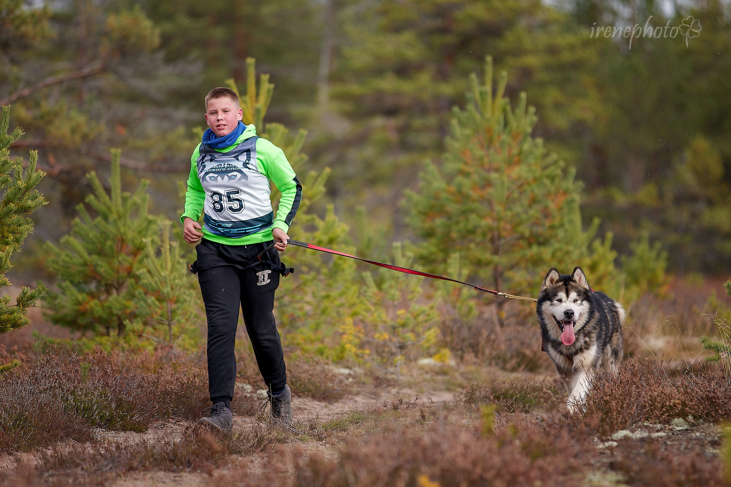 Чемпионат Санкт-Петербурга осень 2025. Irenephoto.ru