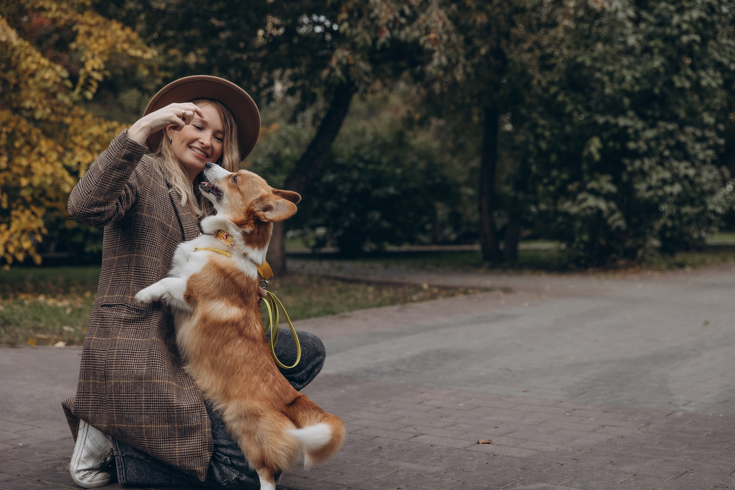 «Королевский Корги» 2. Фотограф Алина Ионычева в Новосибирске