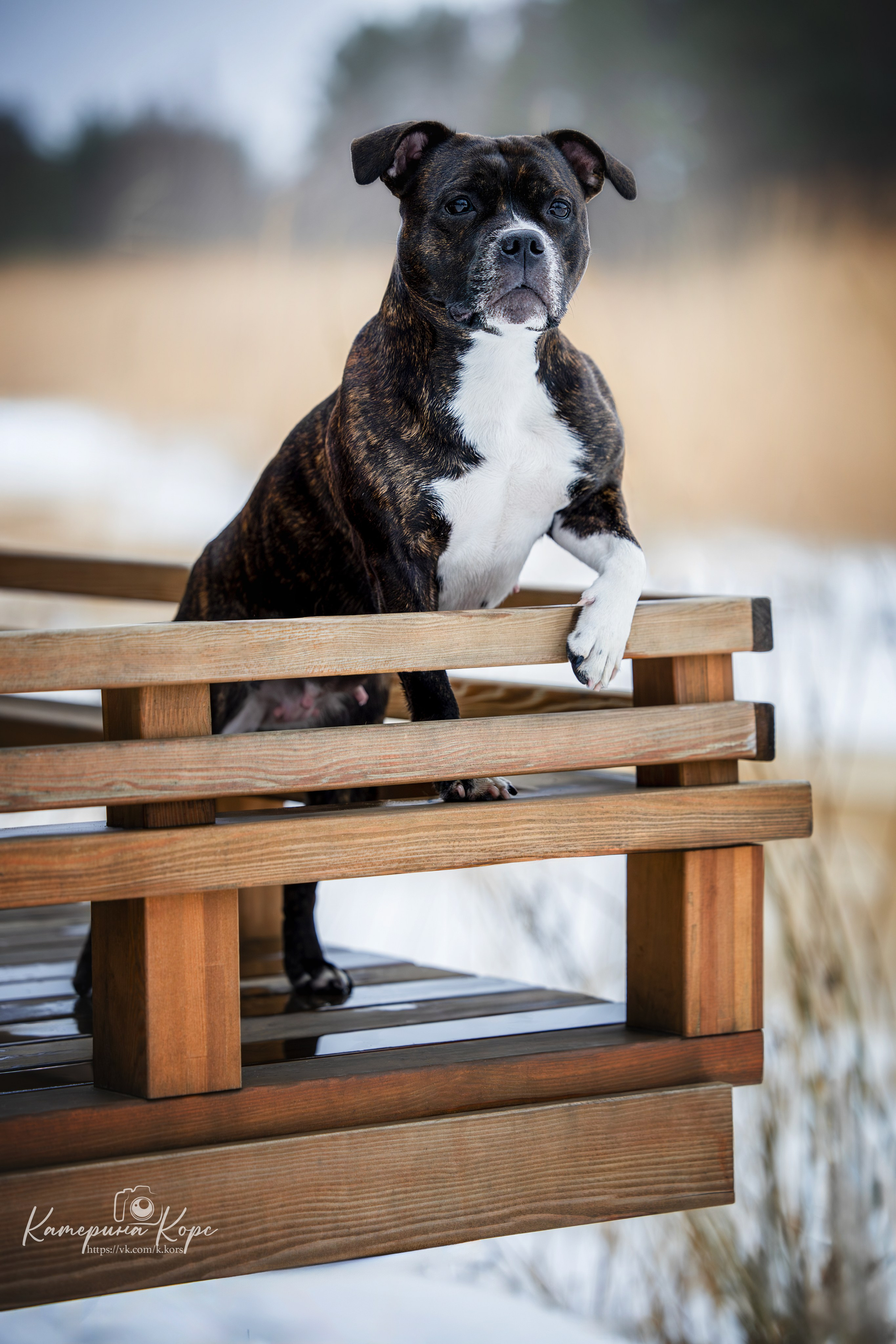 Прогулки. Главная