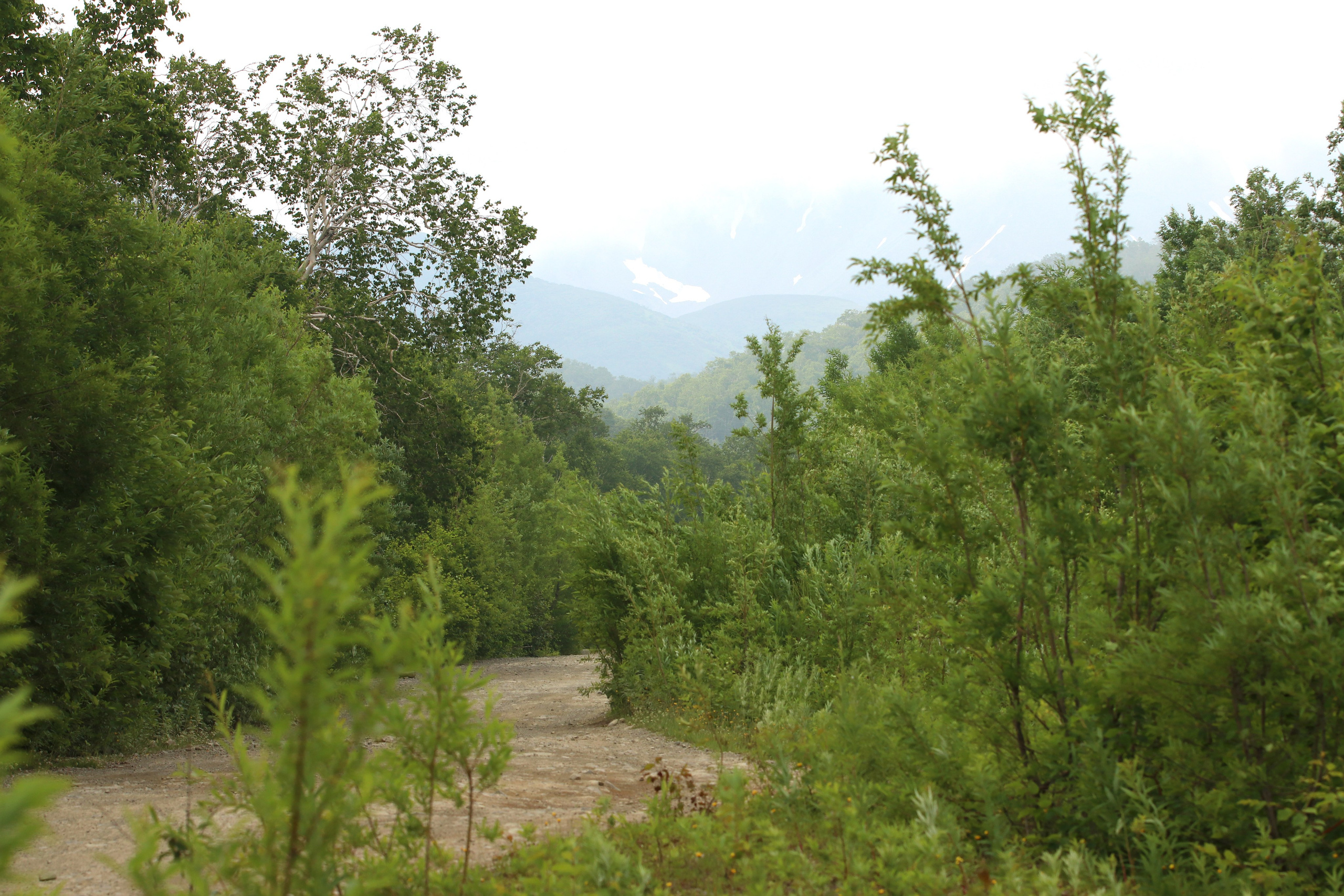 Камчатка и о. Парамушир. Июль 2024. Путешественник-фотограф из Санкт-Петербурга Татьяна Свистулина