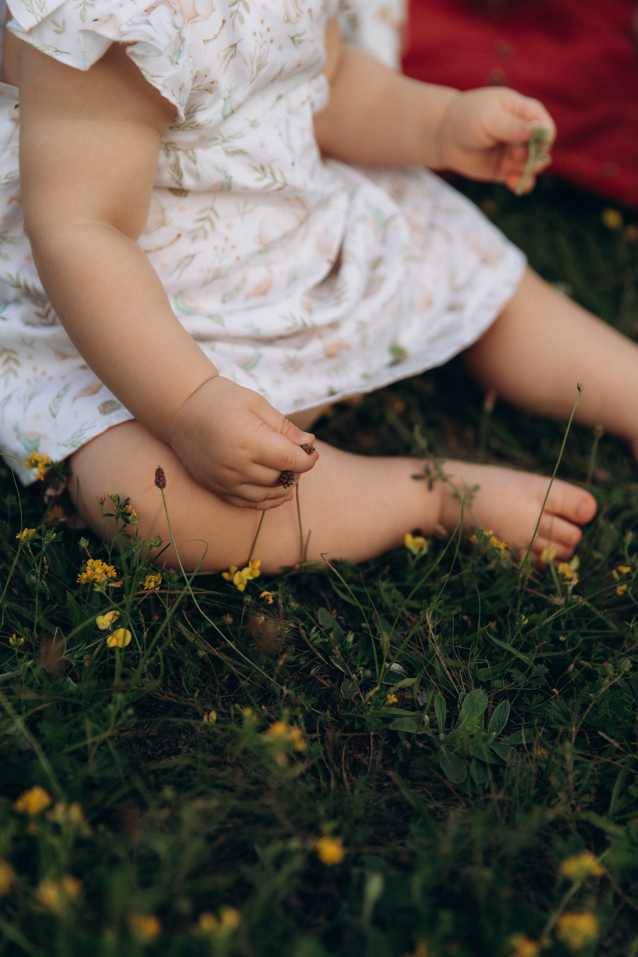 Таня. Семейный и детский фотограф Башкатова Дарья Старый Оскол