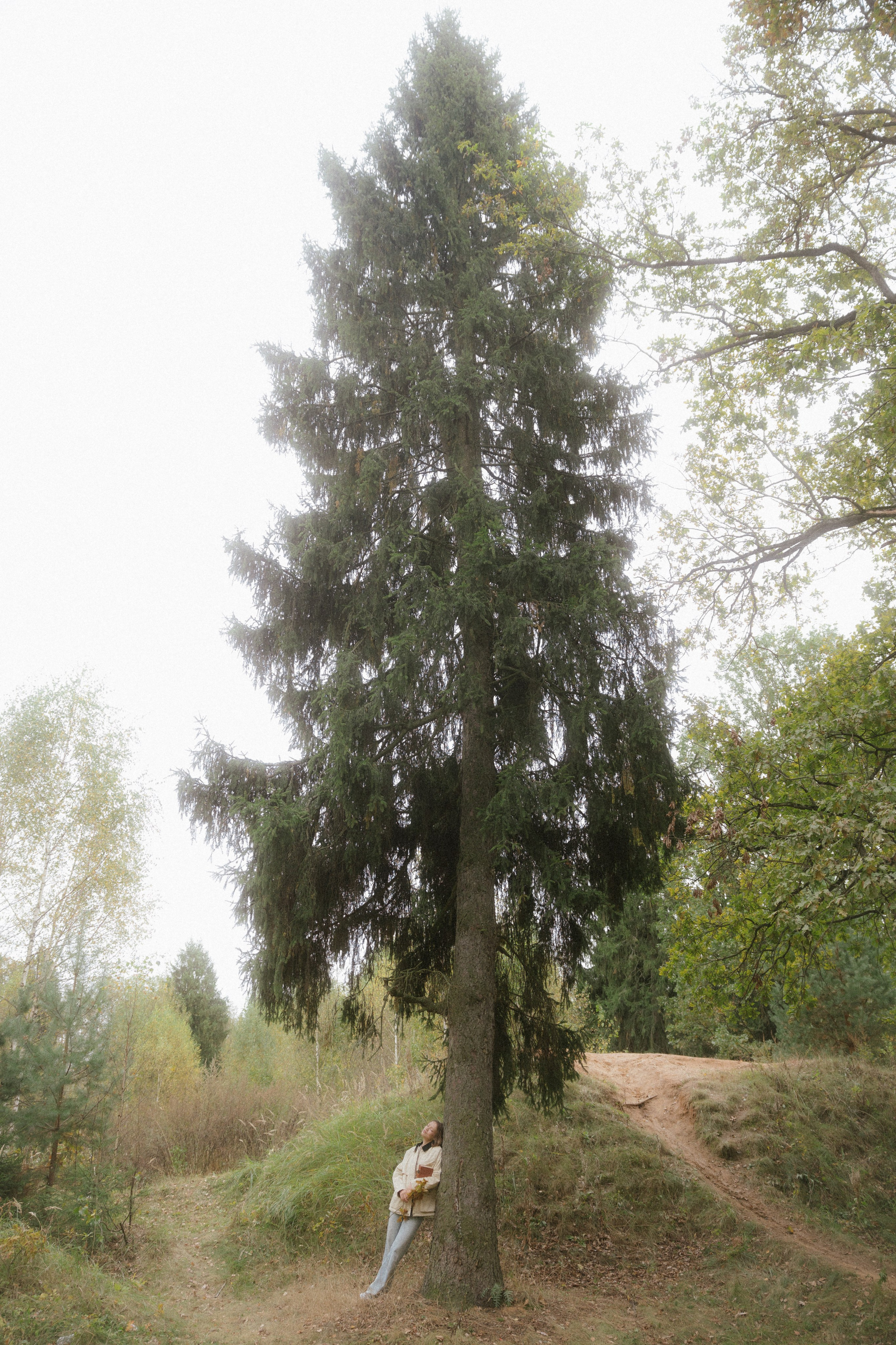 Наташа. Семейный и детский фотограф Юлия Шох