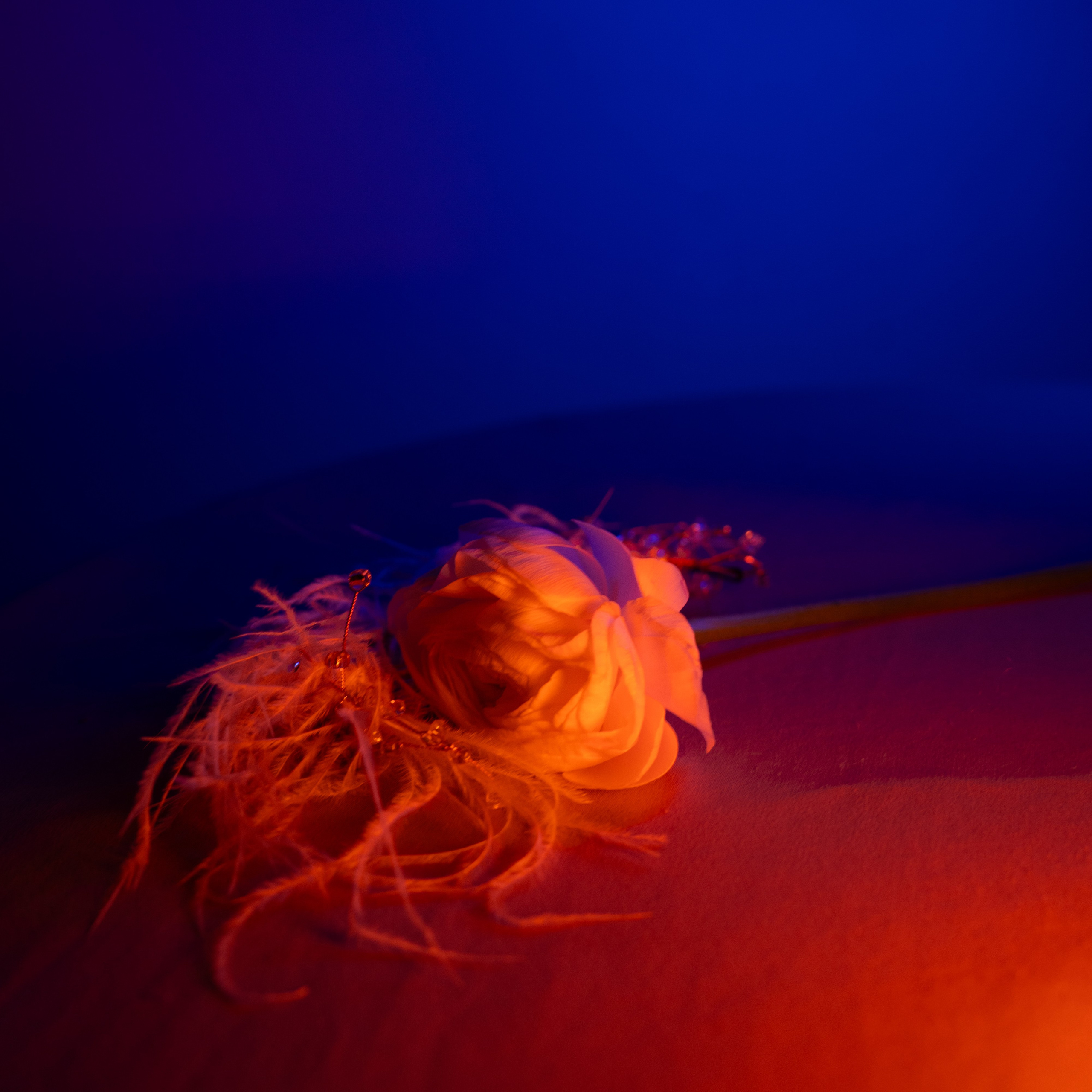 Практика. Фотограф Томск Новосибирск Елизавета Вахтеева