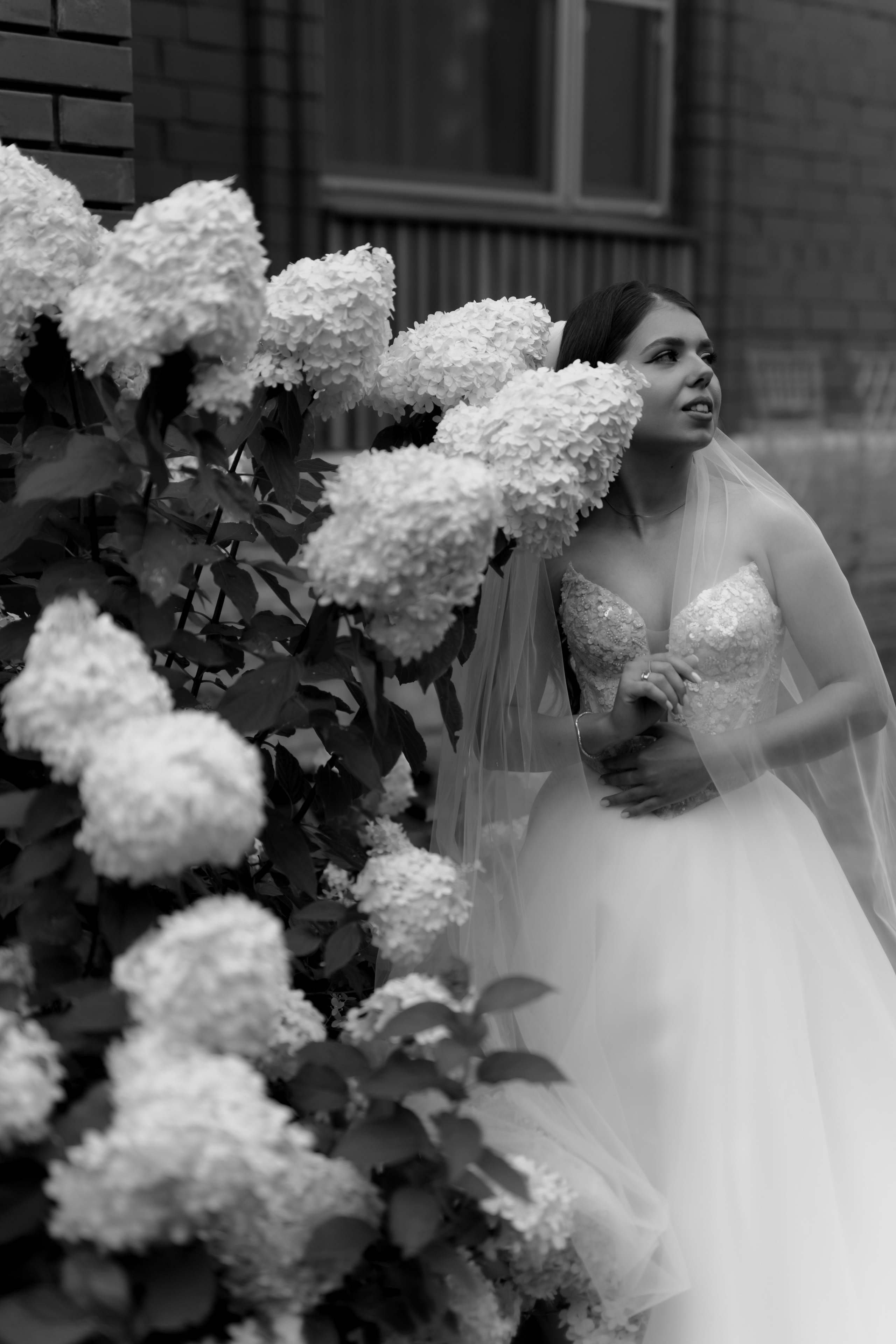 Свадьба Никиты и Алисы. Фотограф Кольчугино/Владимир/Москва Елизавета Иода