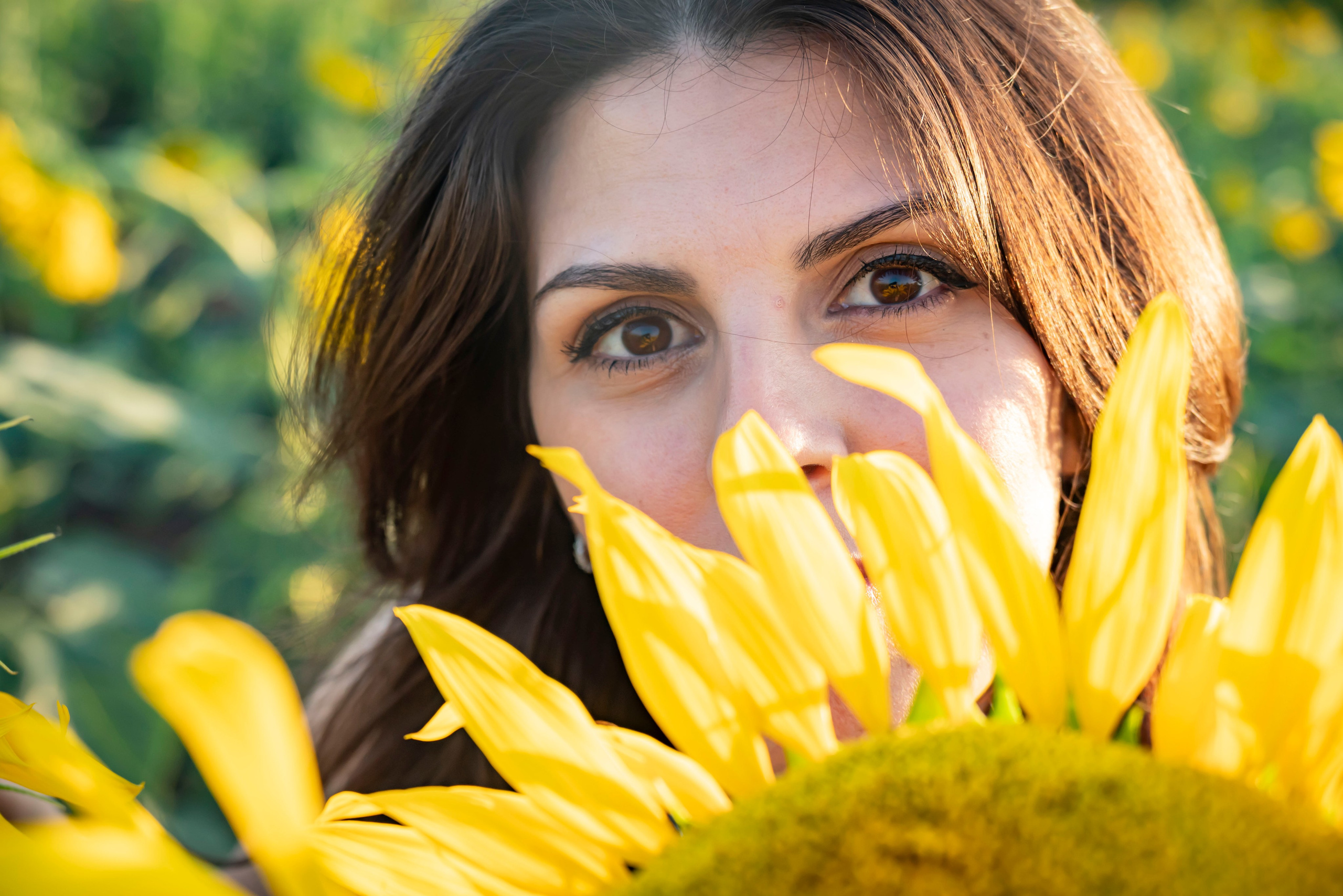 Летняя прогулка. Главная