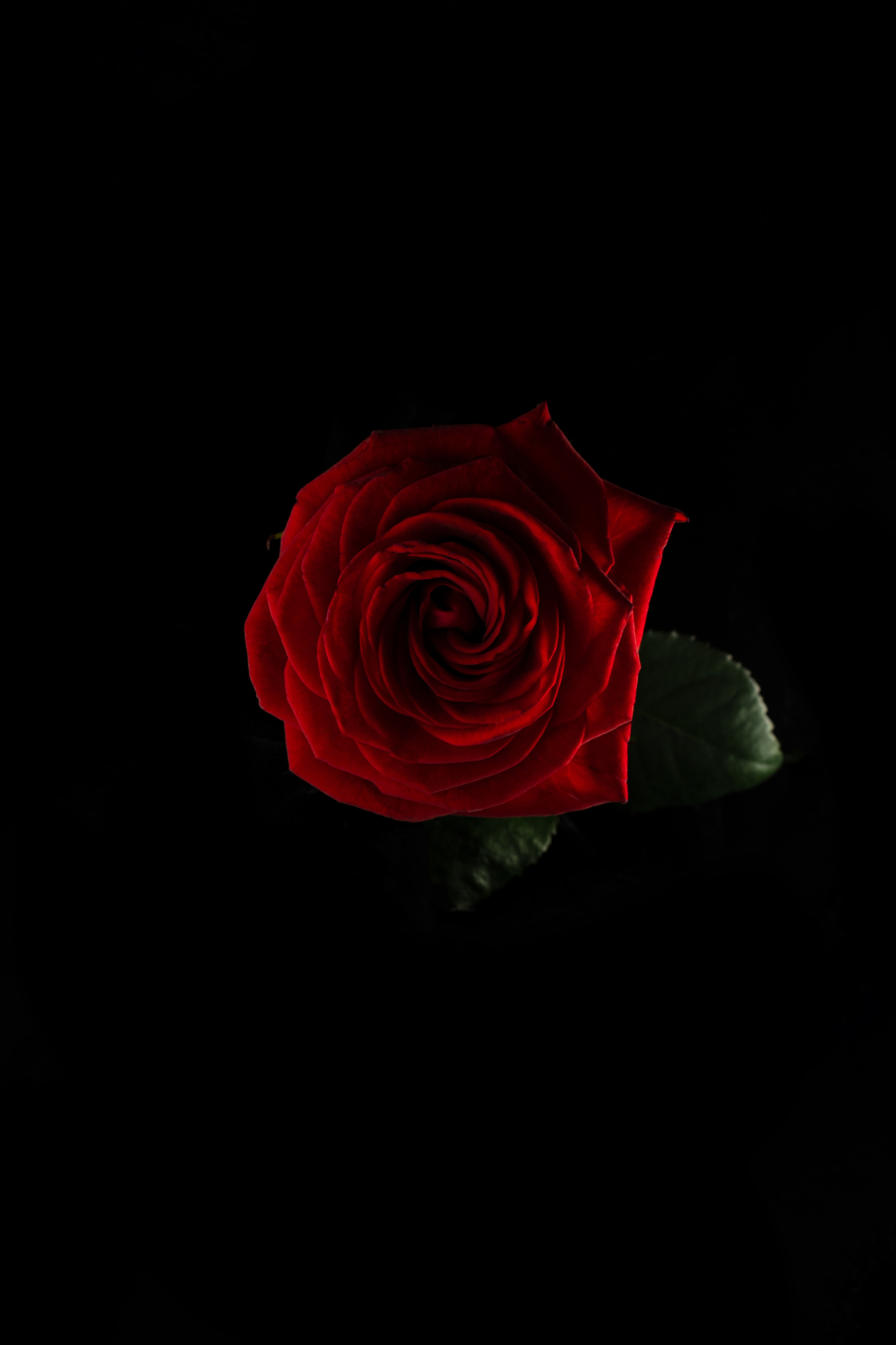 Предметы. Фотограф Николай Корнилов