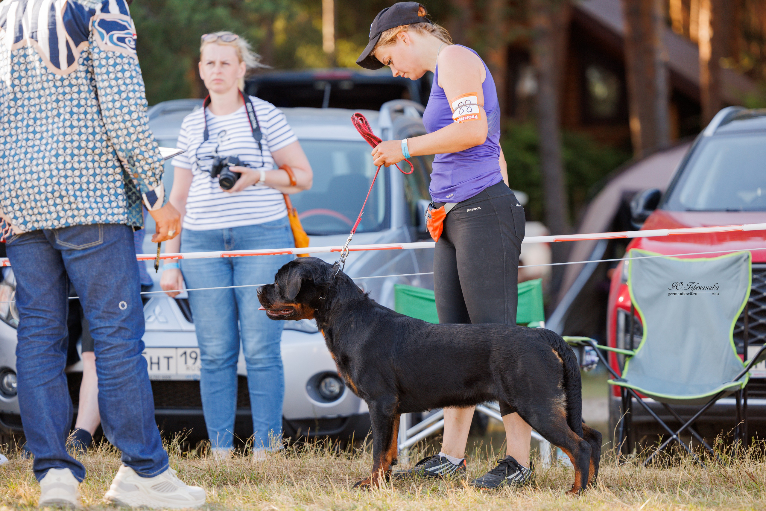 ПК и КЧК ротвейлеры Тверь 6-7.07.2024. Фотограф-анималист Юлия Германика