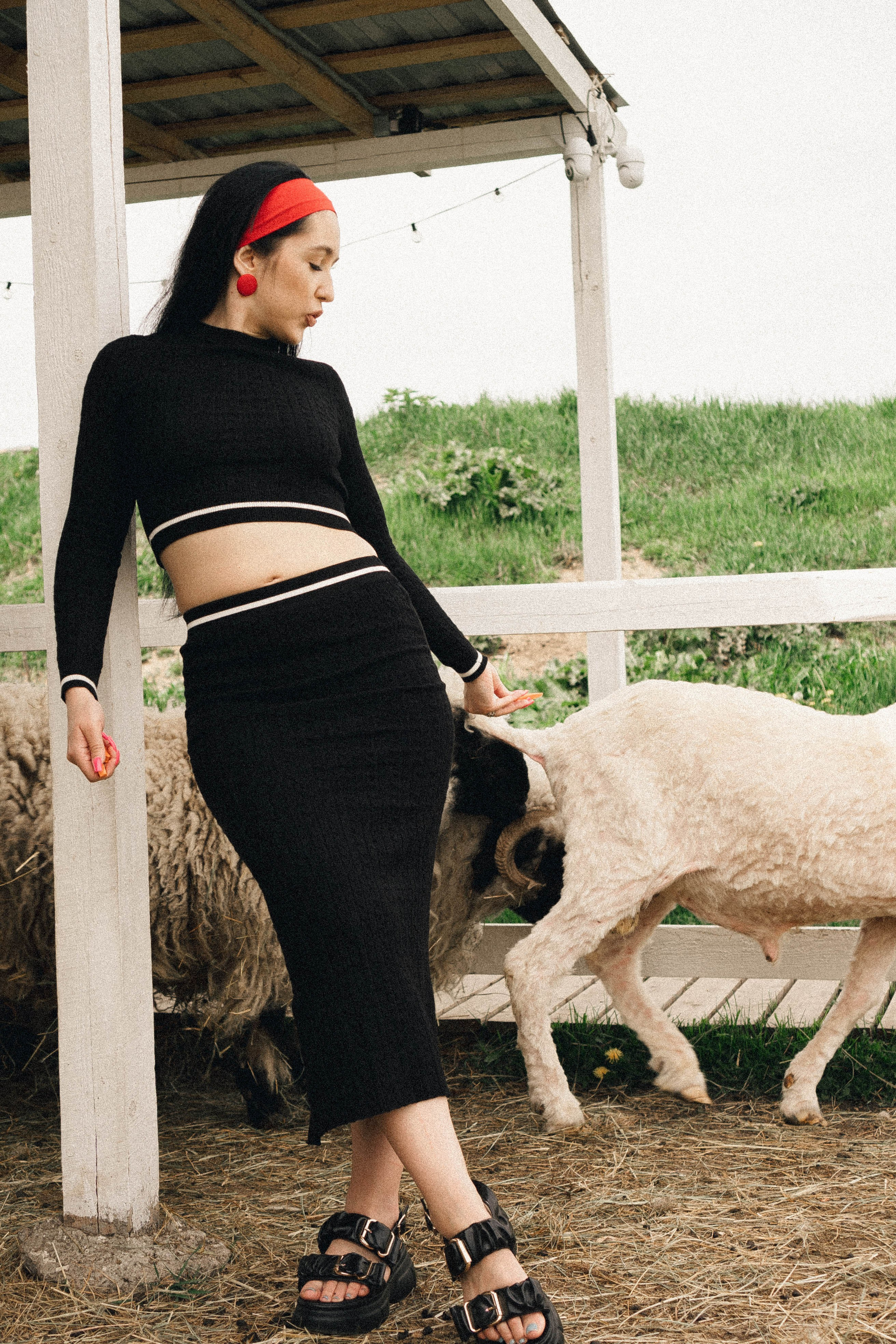 Ферма Альпак. Профессиональный фотограф, Санкт-Петербург — Виктория Богомолова