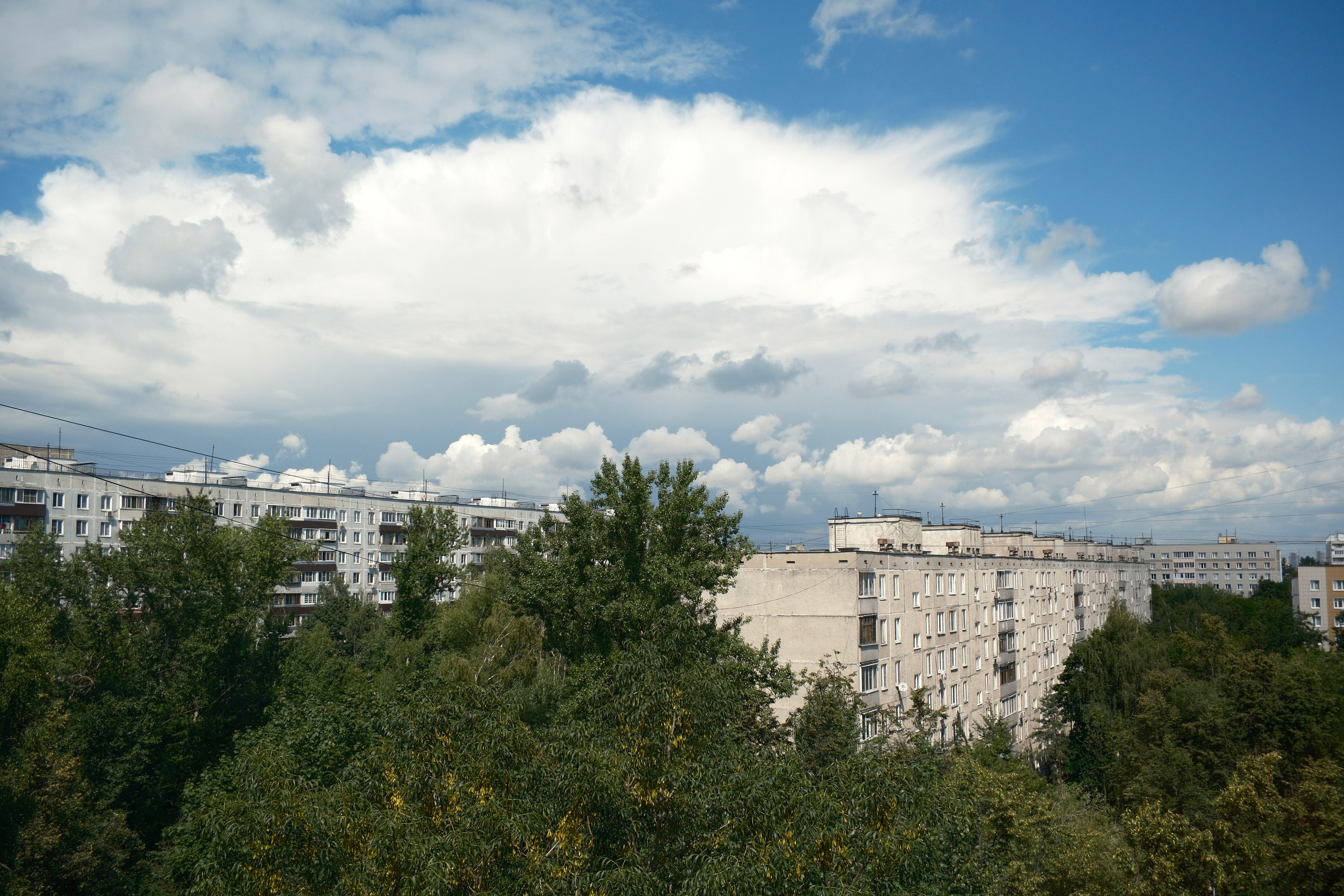 Улица, люди, жизнь…