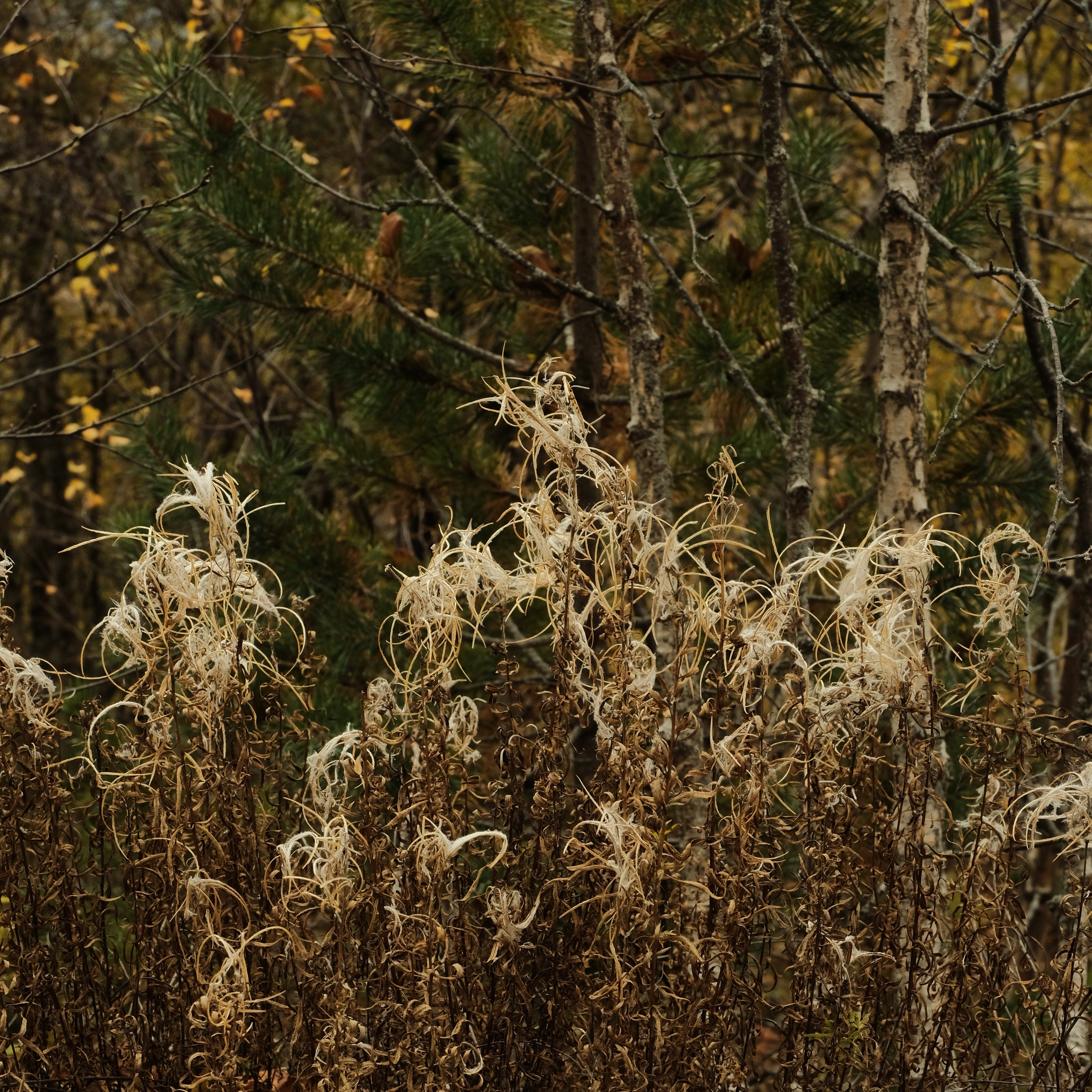 Arkhyz. Creative travel photographer — Berg Daria