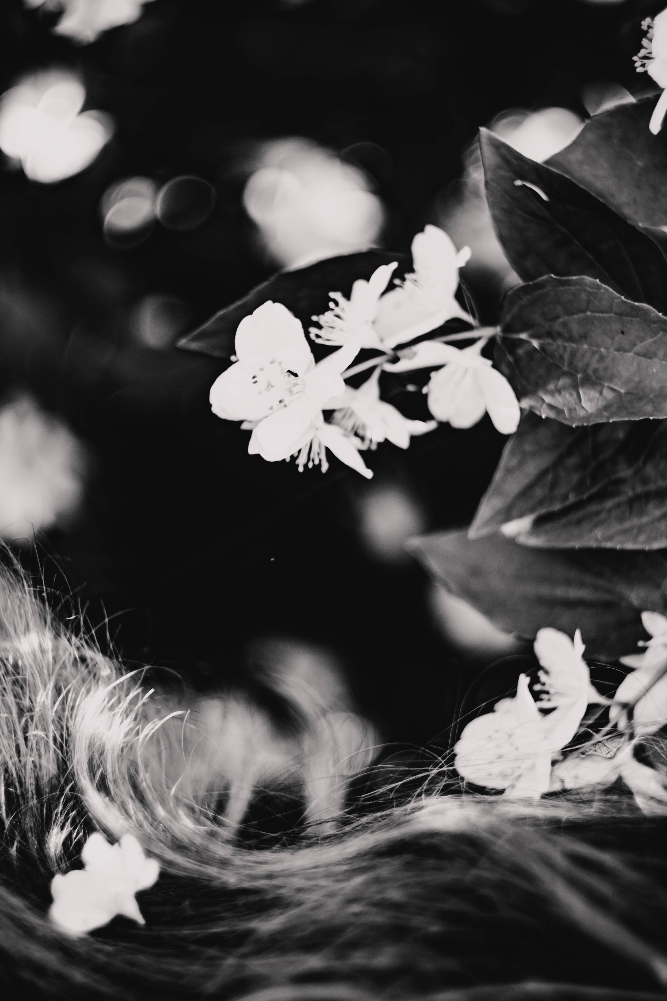 Таня в Жасмине. Фотограф в Нижнем Новгороде