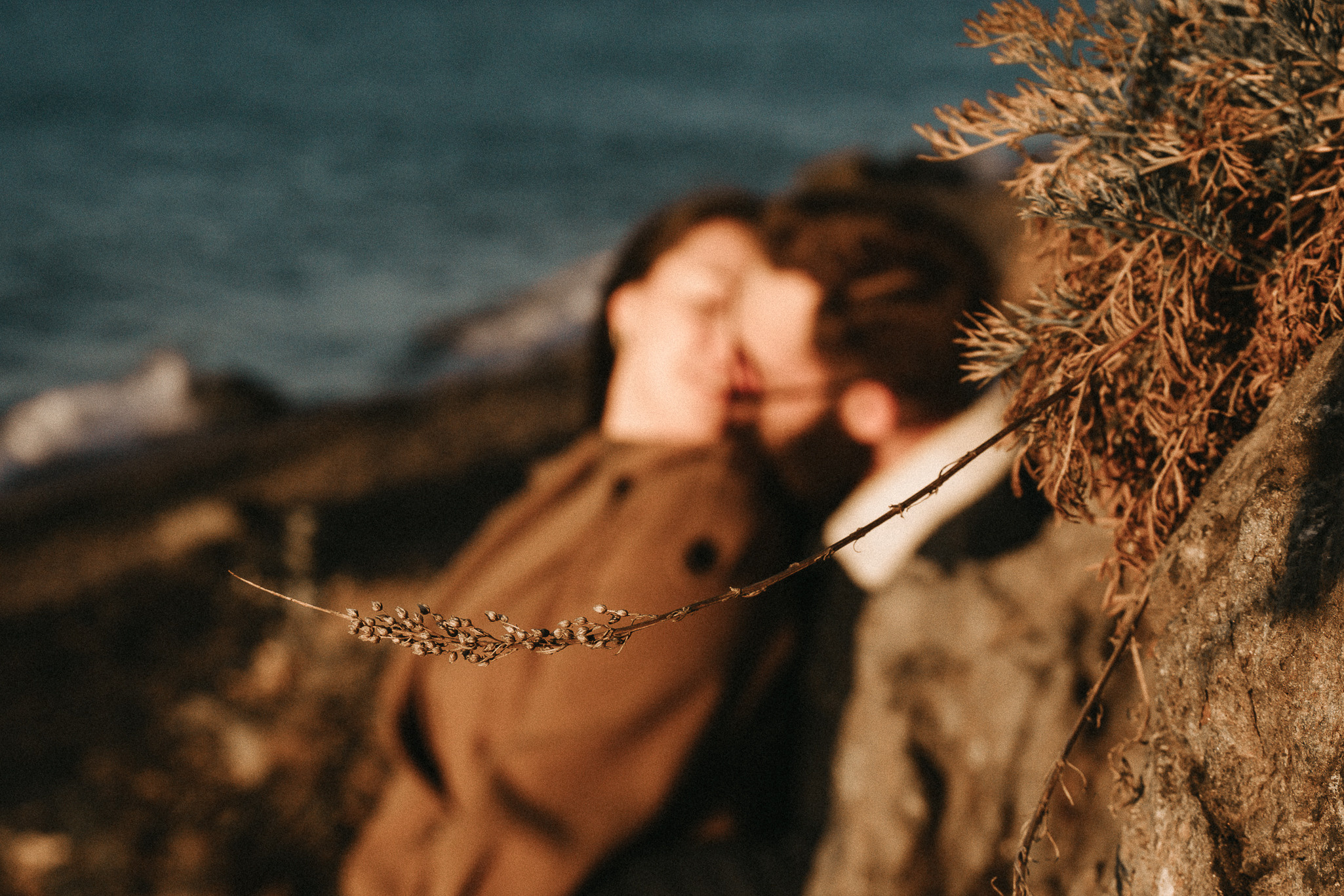 Zekons. Фото, видео, нейросети