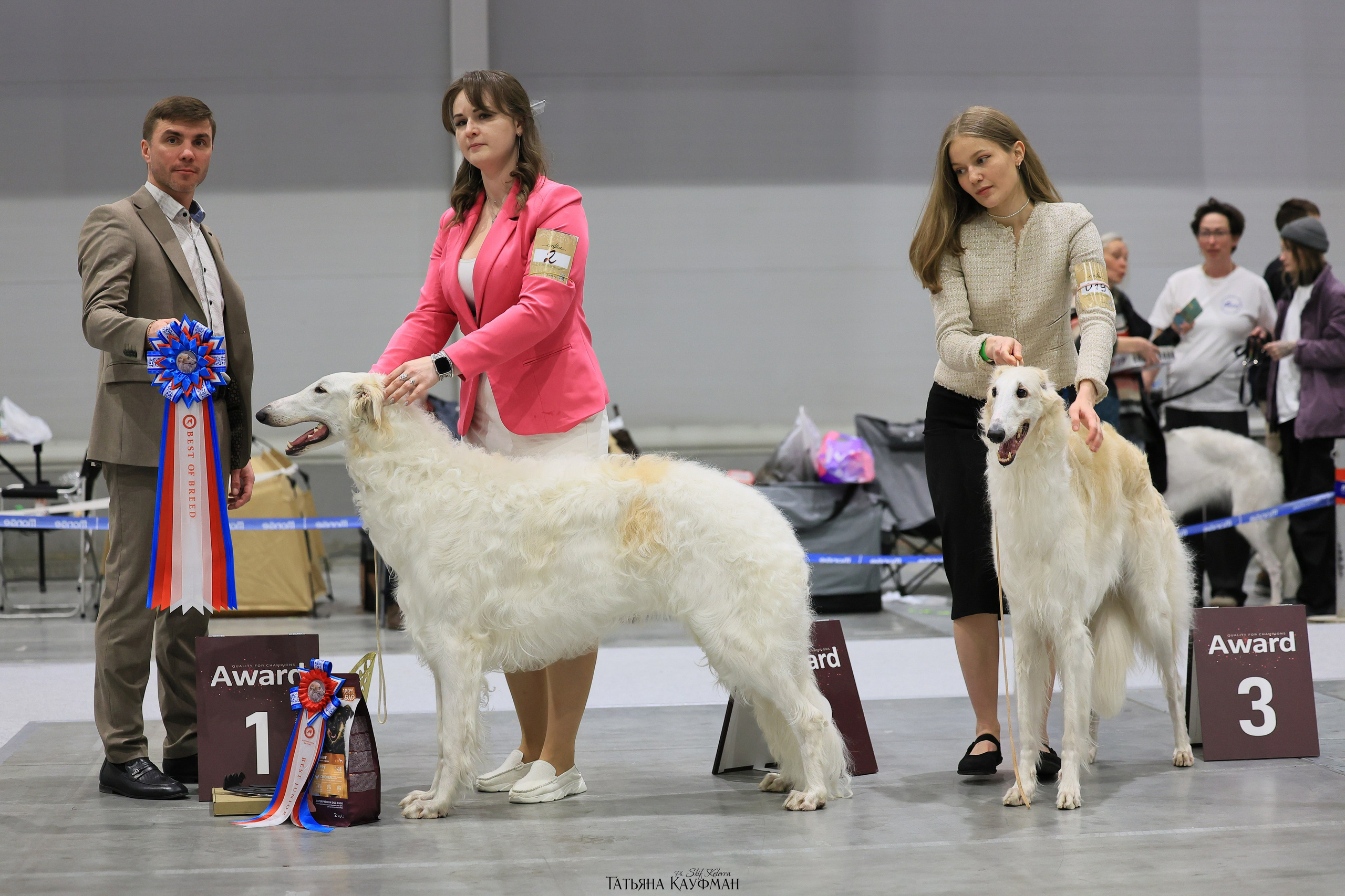 28-29.03.2026 Рейтинговая выставка в Новосибирске. Фотограф Анималист из Новосибирска Татьяна Кауфман