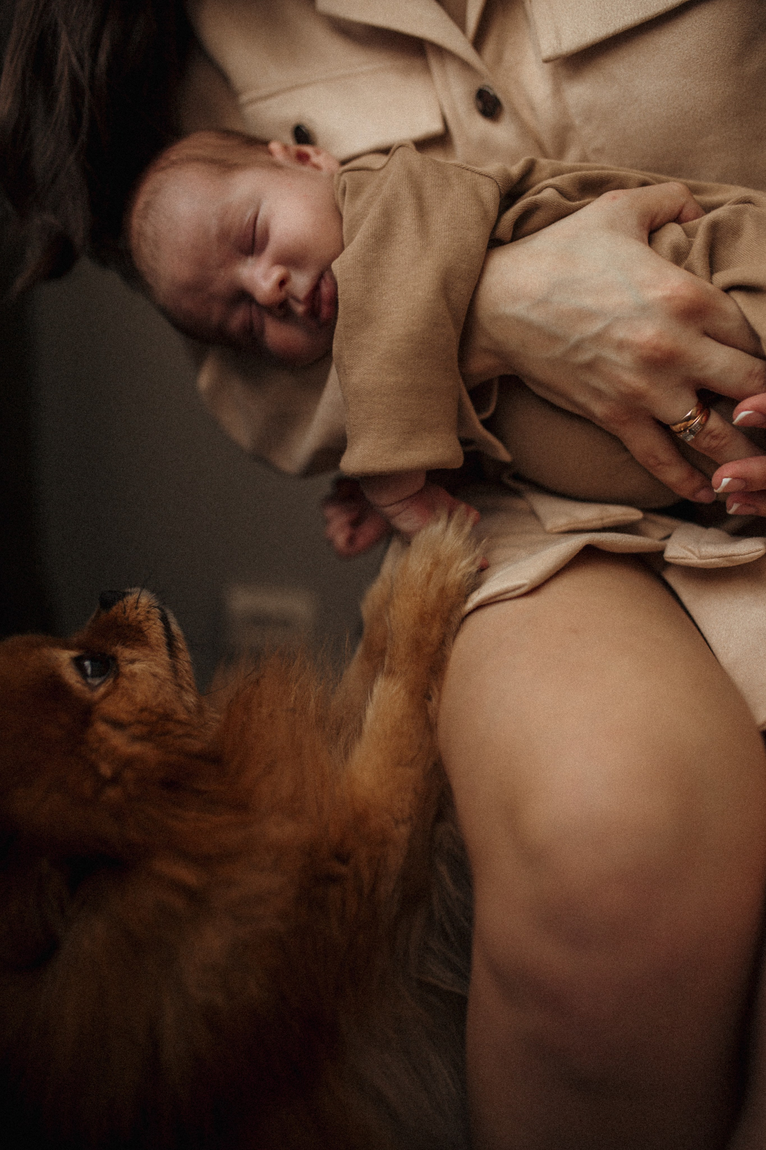 Мишенька 1 месяц. Семейный и Свадебный фотограф в Санкт-Петербурге Плохая Екатерина