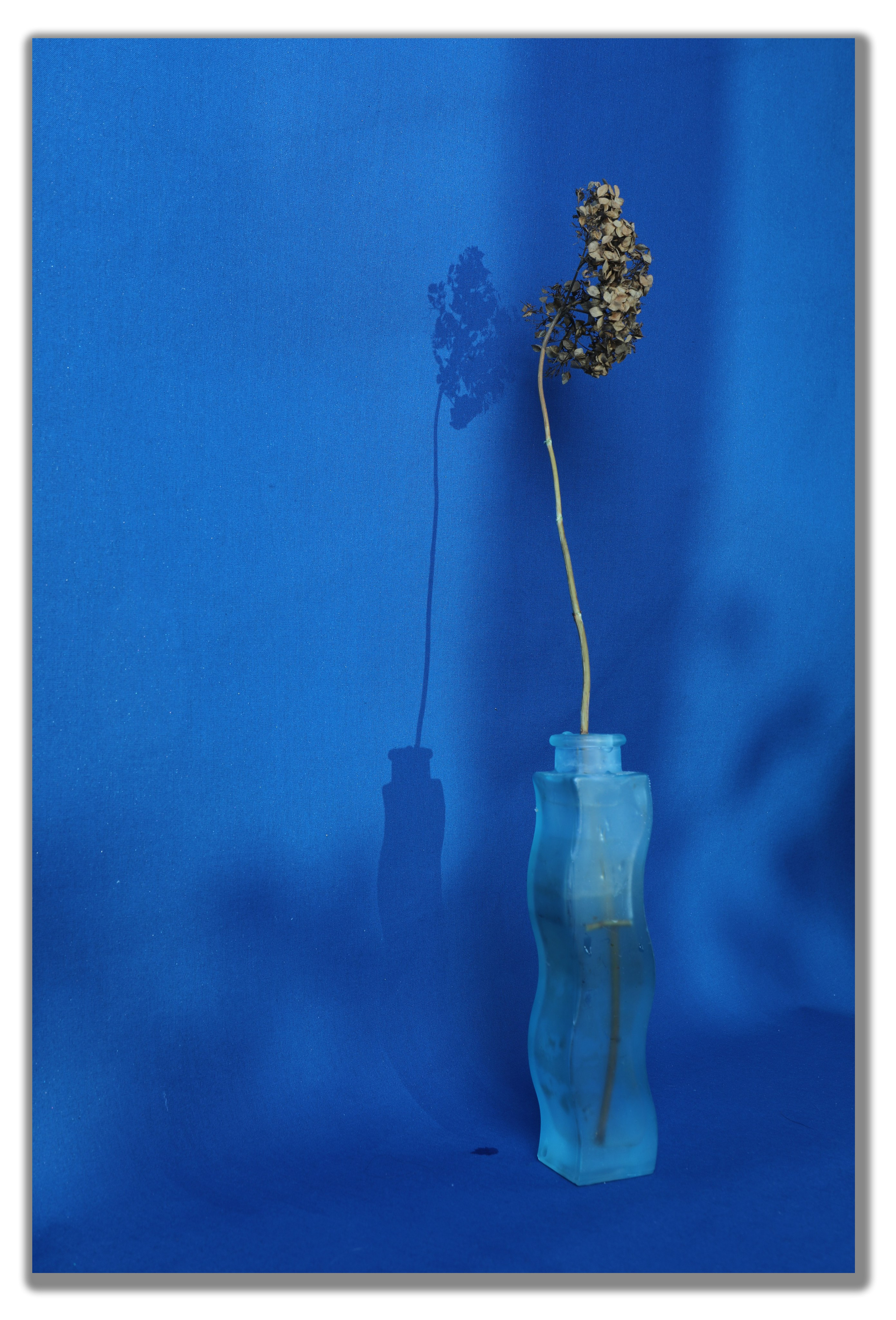 Интерьерные фотокартины. Фотограф Наталья Туева FineArt съёмка