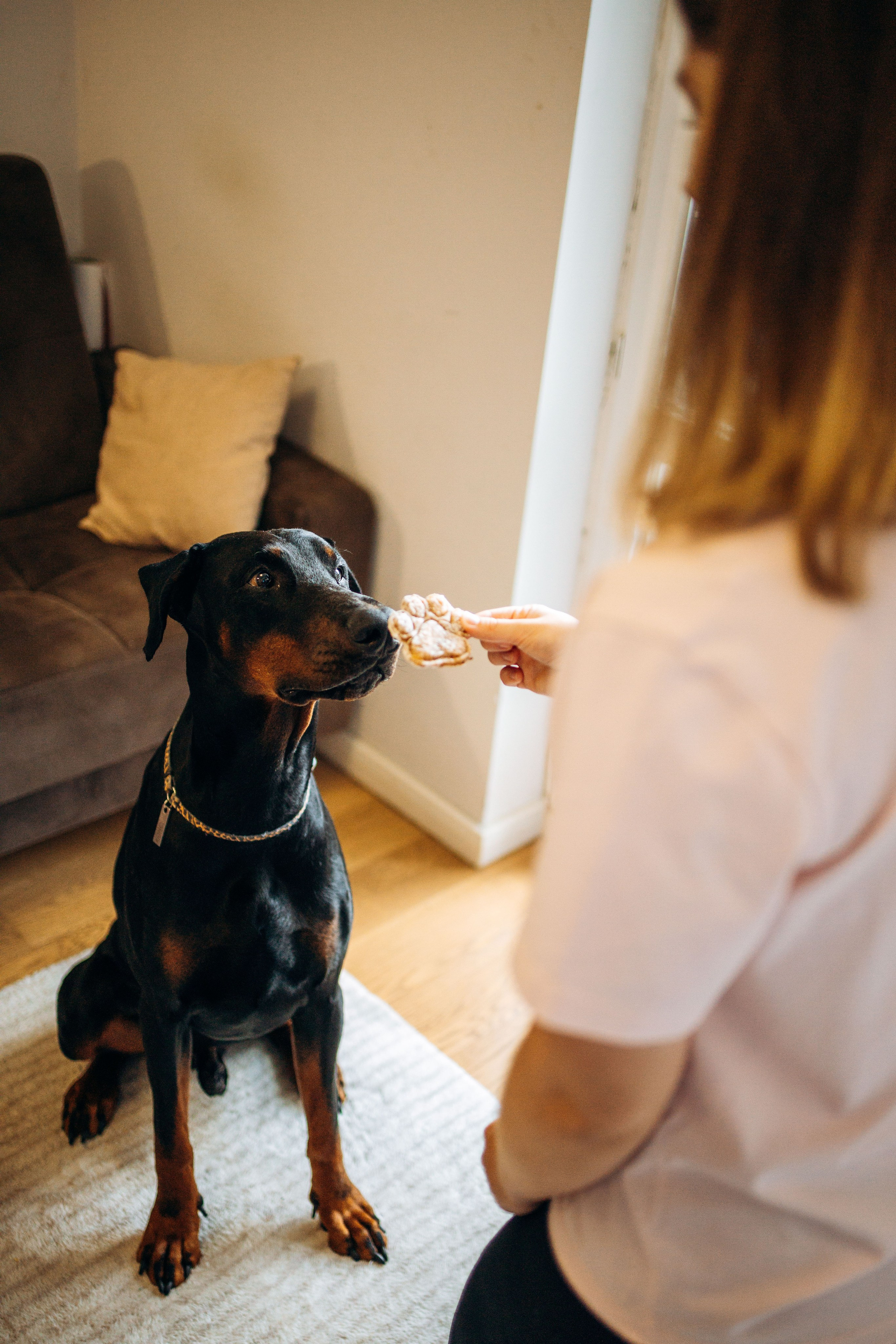 Катя и Конор