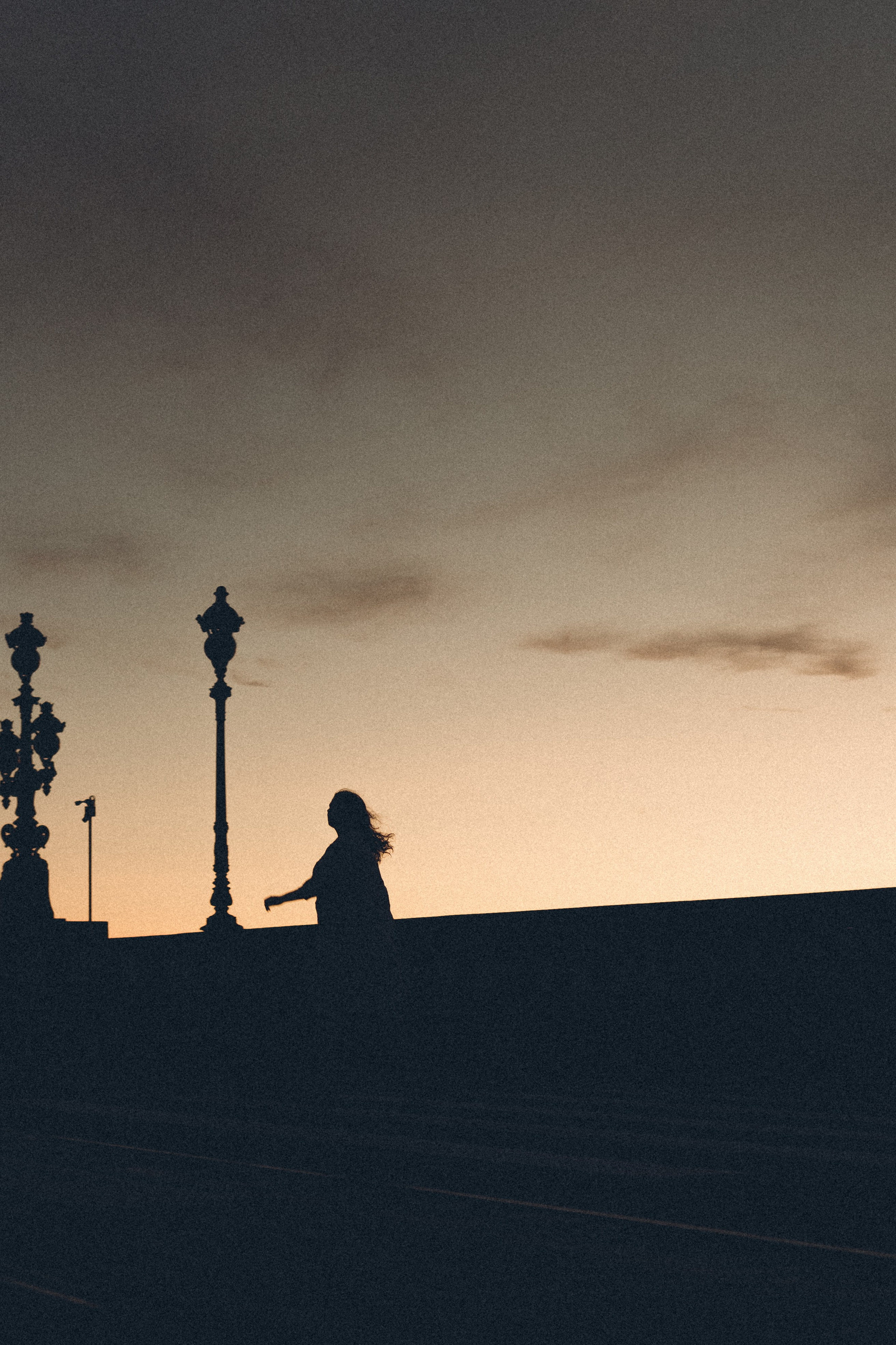 РАССВЕТ С РАЗВОДНЫМИ МОСТАМИ. Профессиональный фотограф, Санкт-Петербург — Виктория Богомолова