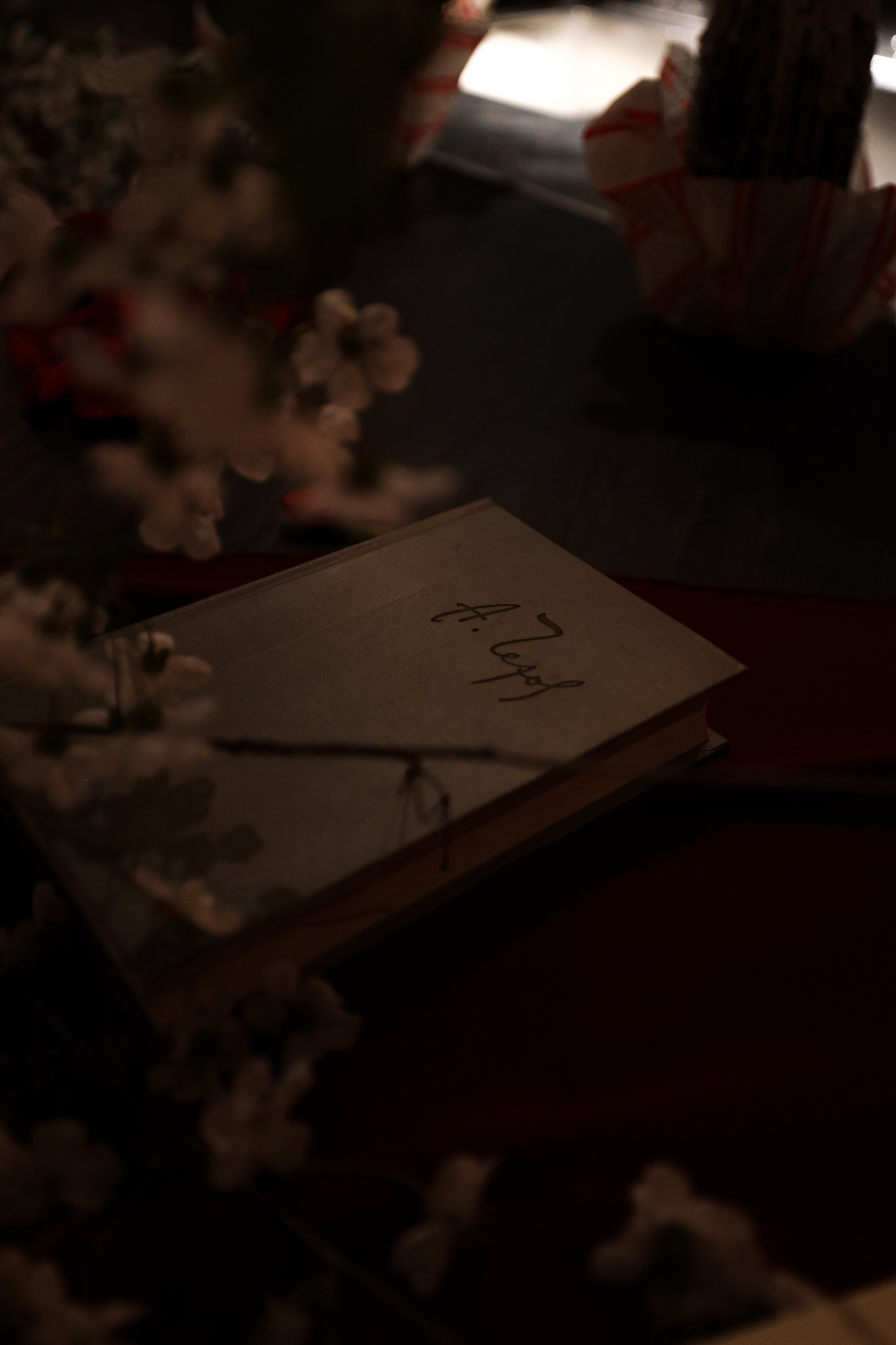 Gastrodvor «Диалог с Чеховым». Дженбаз Павел — фотограф в Ялте