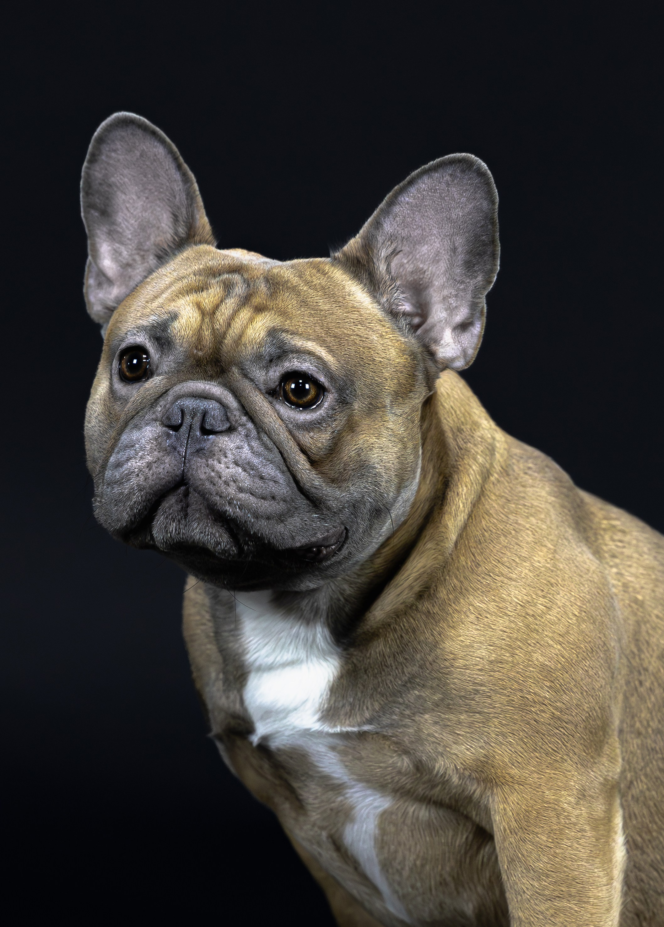 Студия. Главная