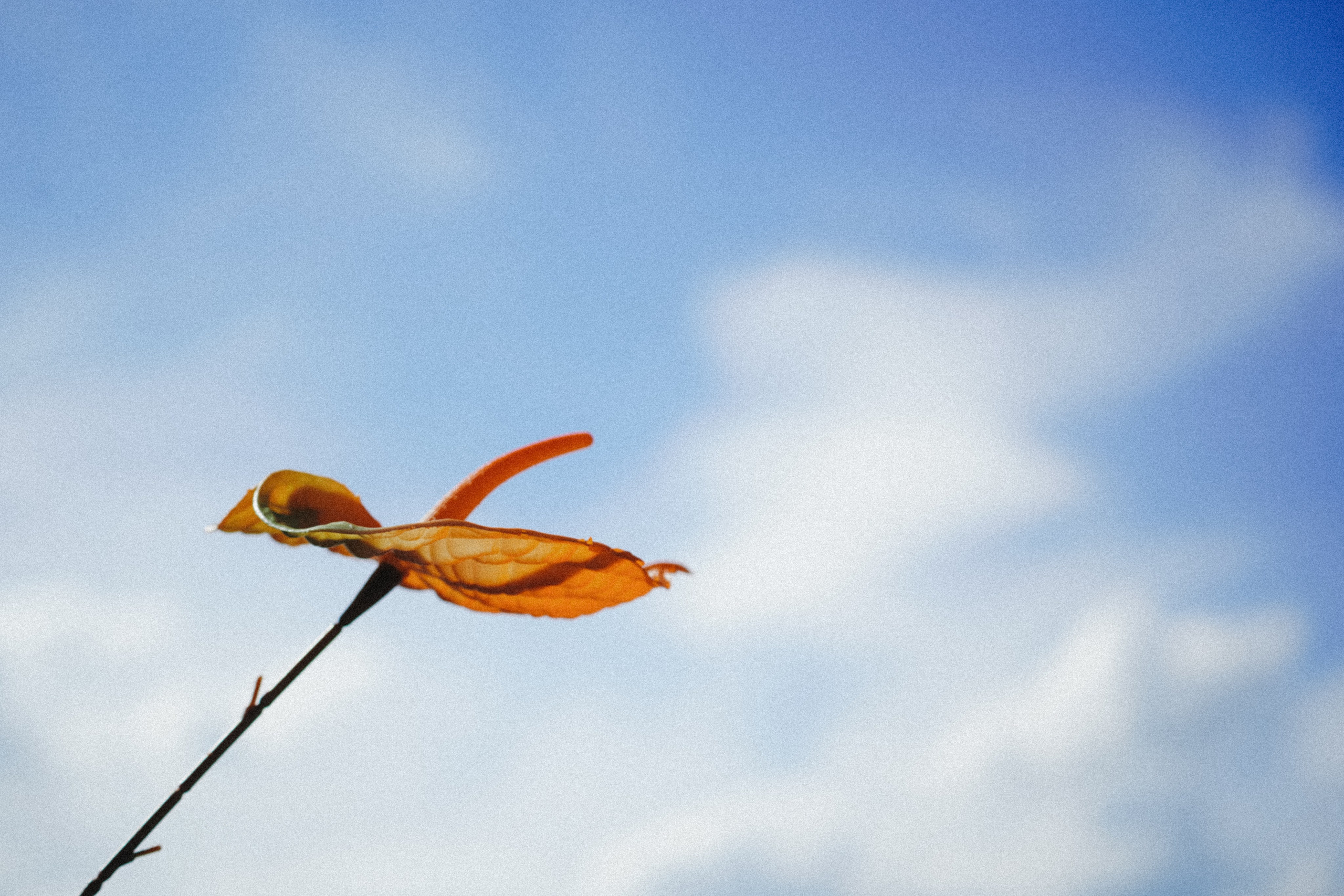 E&M. Фотограф Москва Никита Воробьев