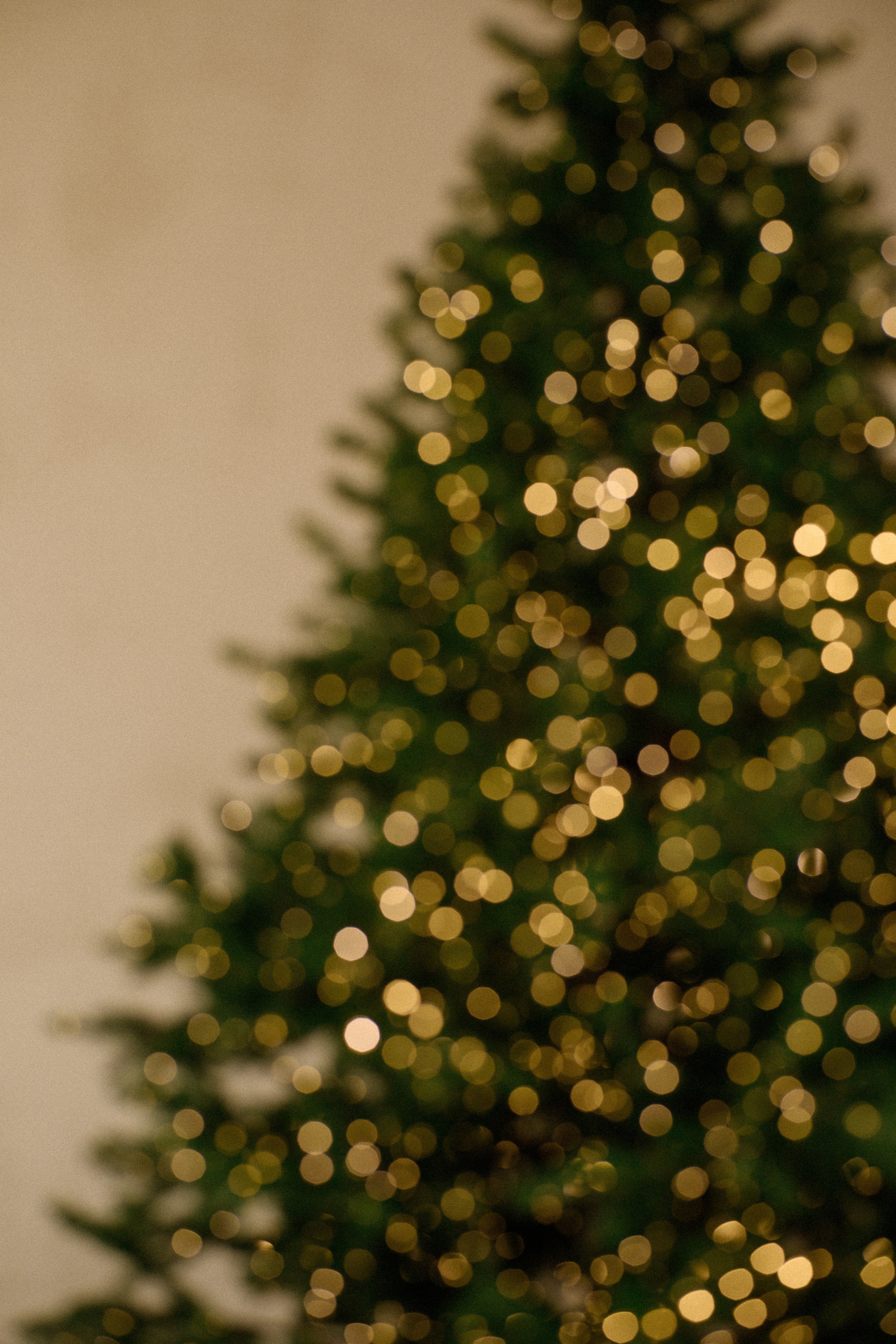 Семейная фотосессия в студии. Свадебный фотограф Челябинск Зиненко Виктория