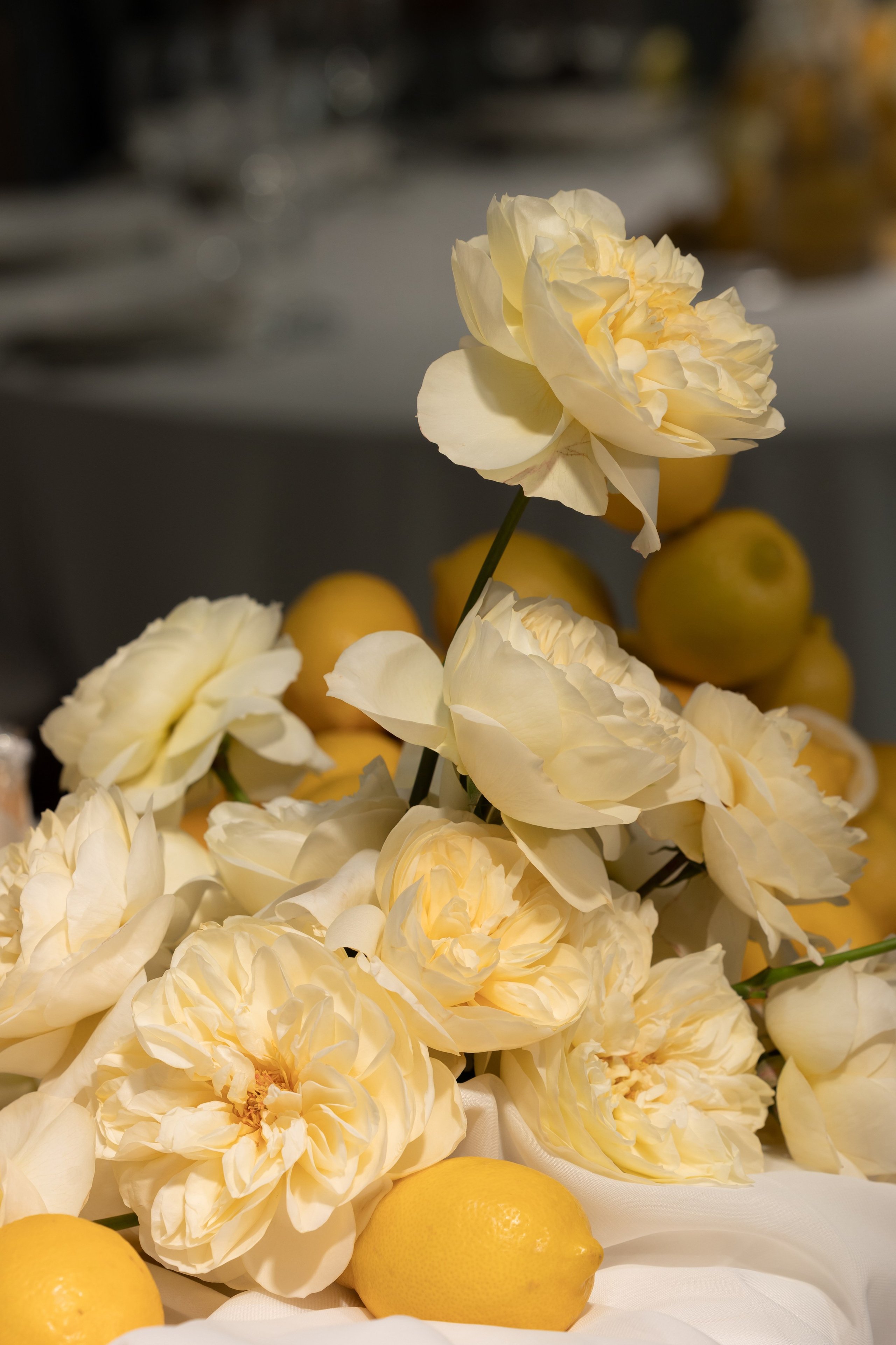 Александр & Алина. Обо мне