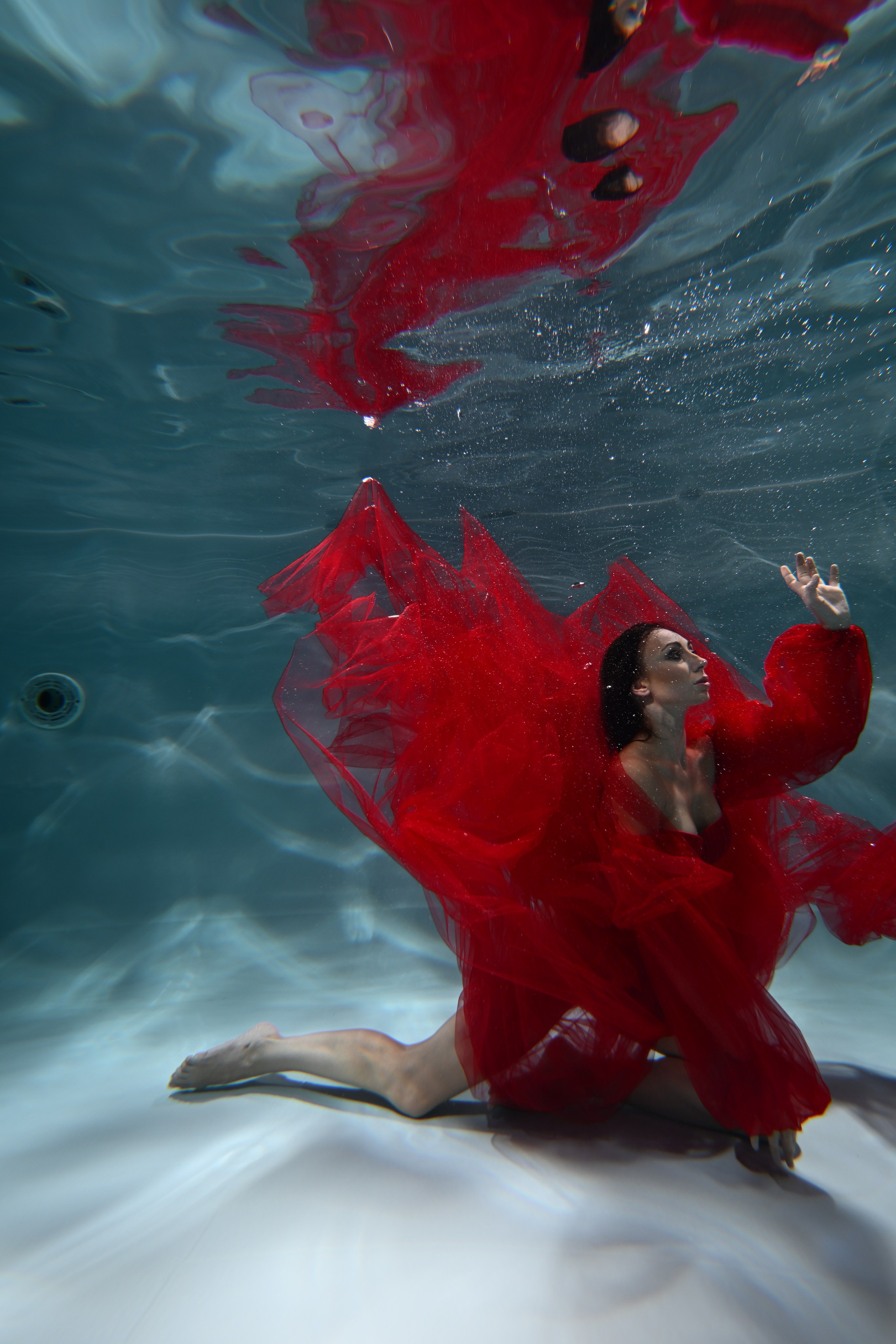 Аква студия НЕМО. Фотограф в Санкт-Петербурге Сафронов Николай