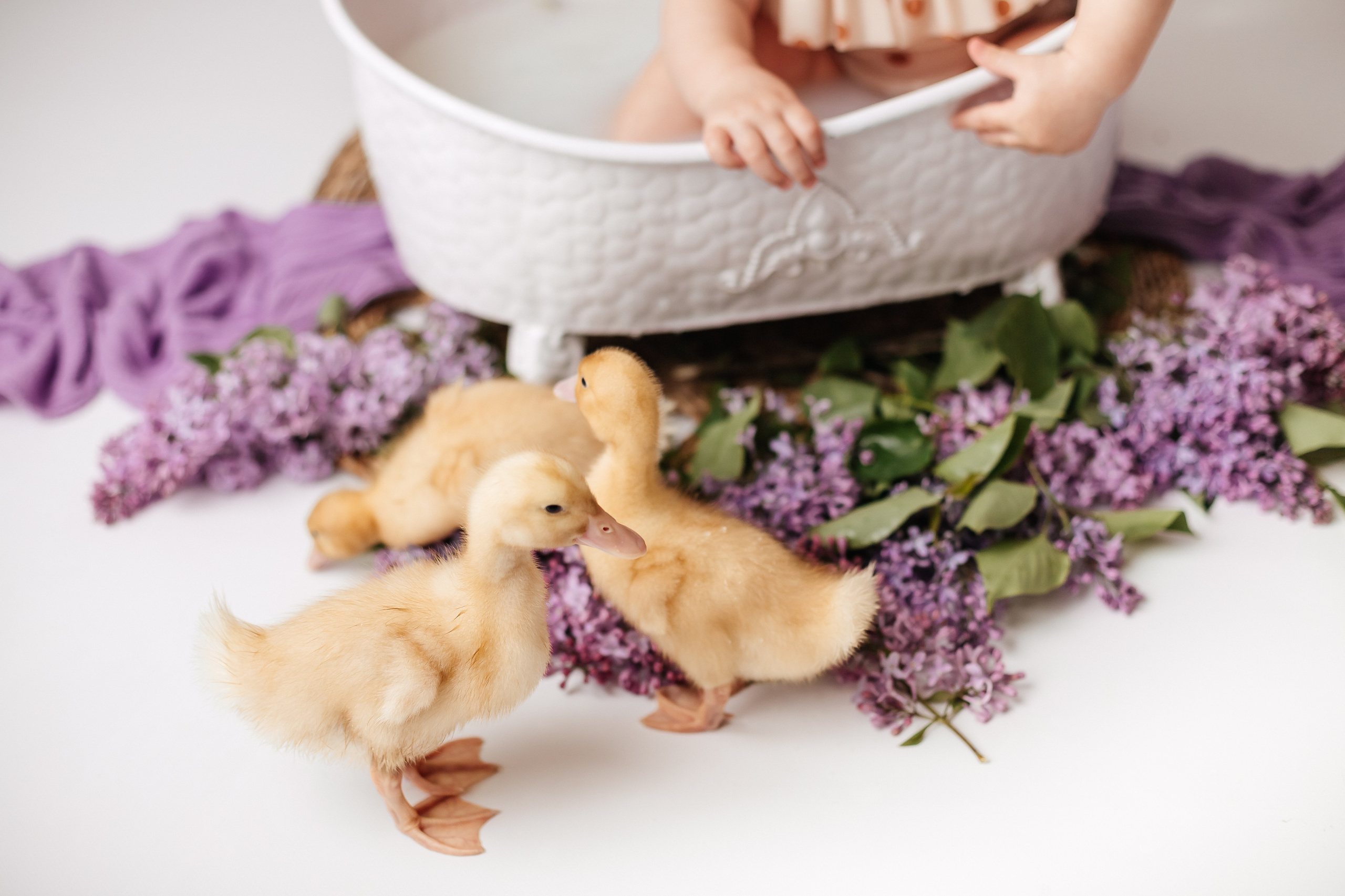 Фотопроекты. Фотограф новорождённых Ярославль. Детский и семейный фотограф Анна Салова